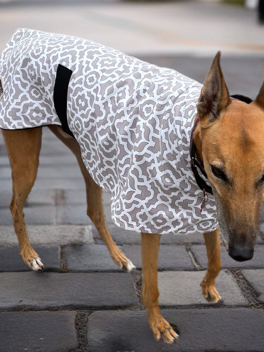 Dove grey mid weight cotton & fleece greyhound sports coat