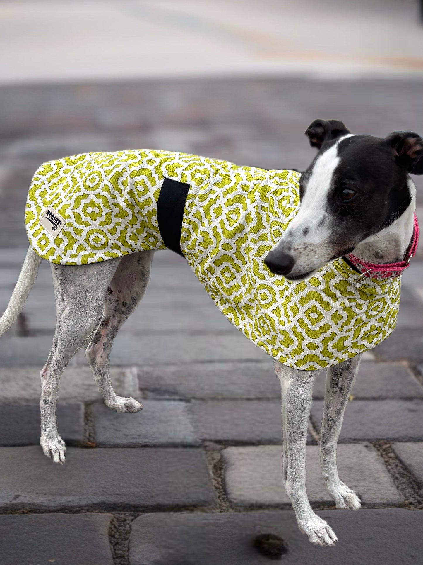 Lime Pop Geo mid weight cotton & fleece greyhound sports coat autumn wear