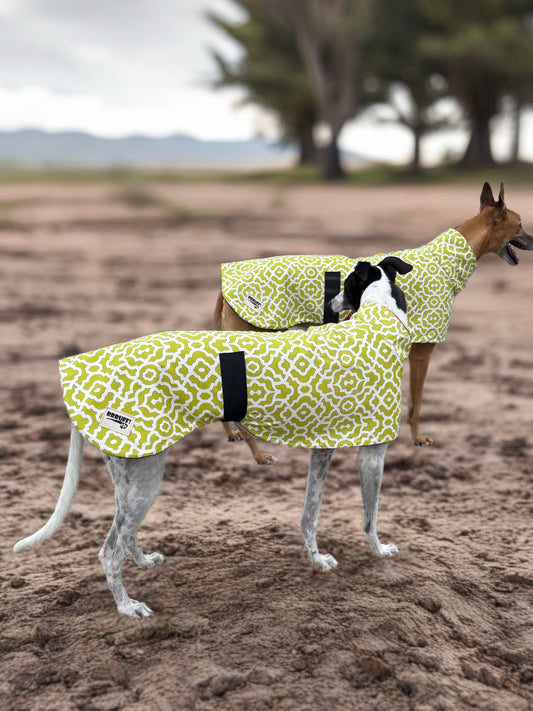 Lime Pop Geo mid weight cotton & fleece greyhound sports coat