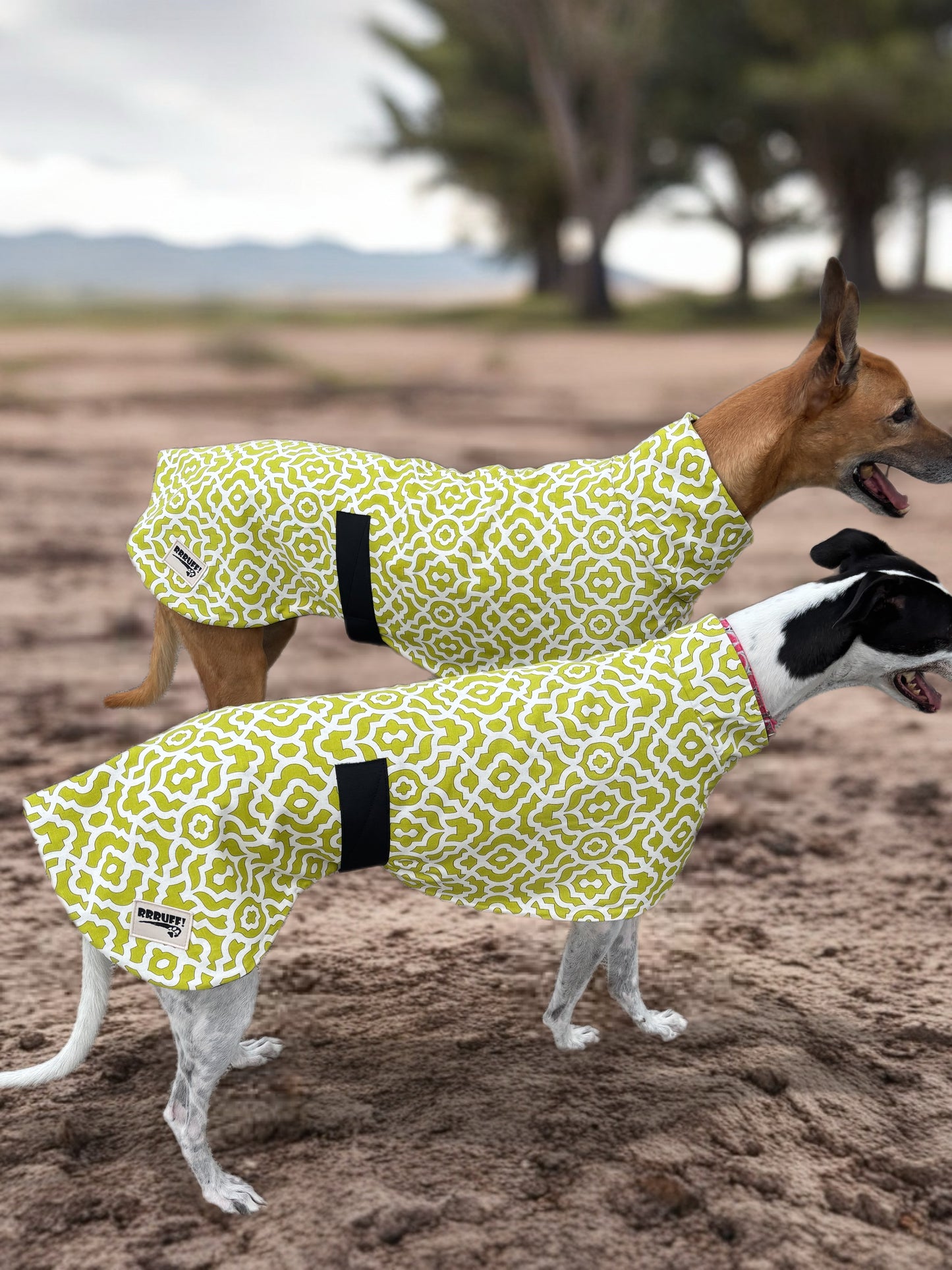 Lime Pop Geo mid weight cotton & fleece greyhound sports coat autumn wear