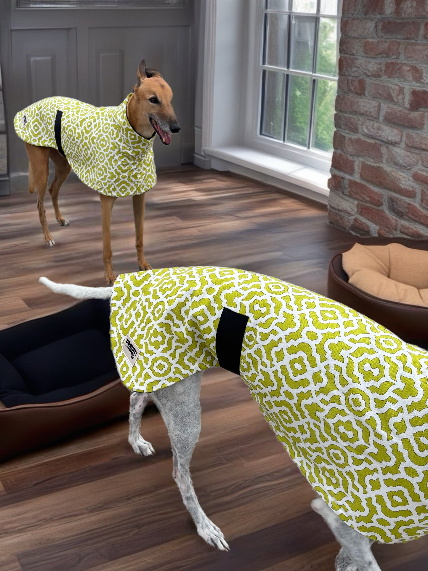 Lime Pop Geo mid weight cotton & fleece greyhound sports coat autumn wear