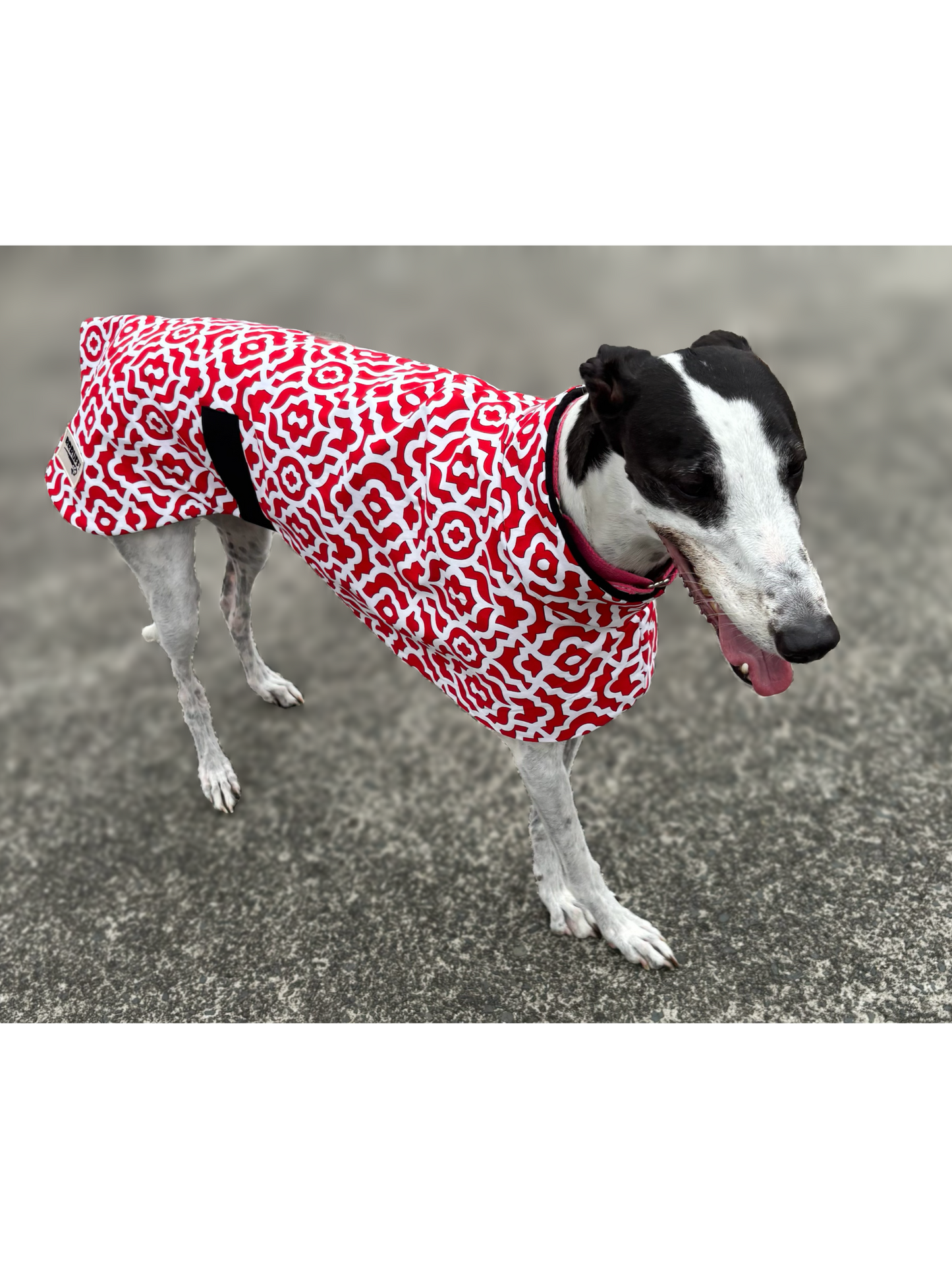 Ruby razzle greyhound sports coat mid weight cotton & fleece Autumn wear