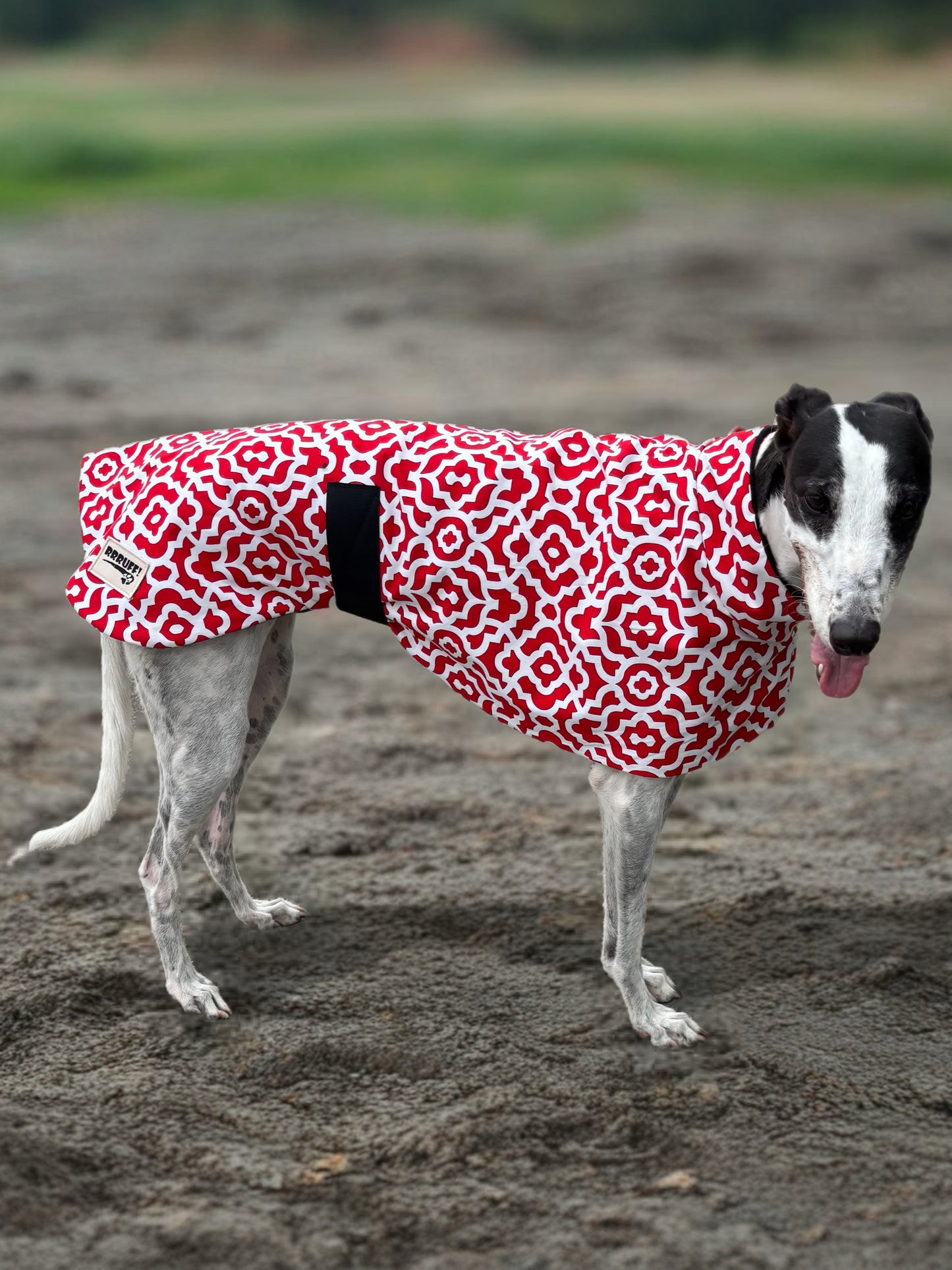 Ruby razzle greyhound sports coat mid weight cotton & fleece Autumn wear