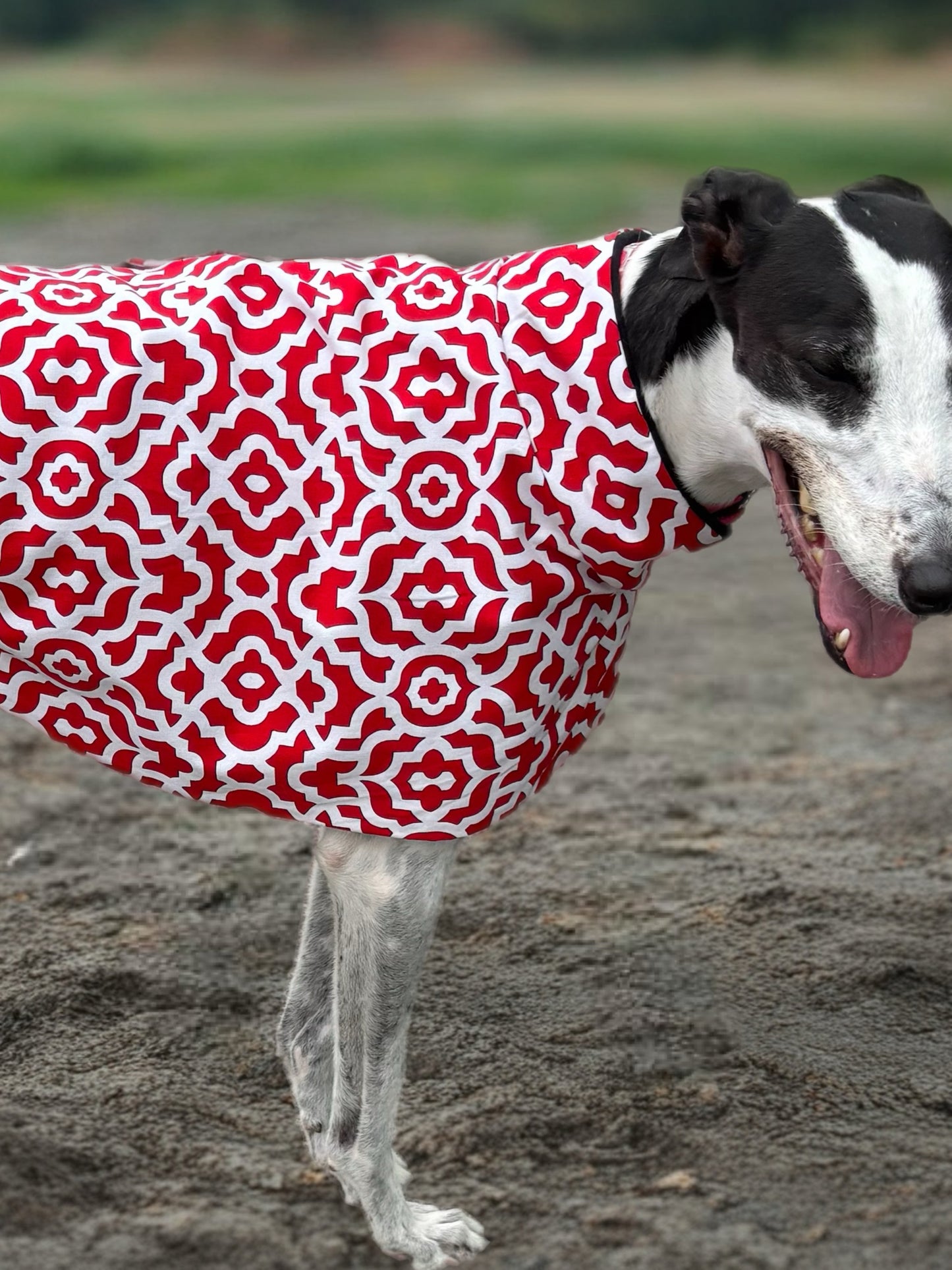 Ruby razzle greyhound sports coat mid weight cotton & fleece Autumn wear