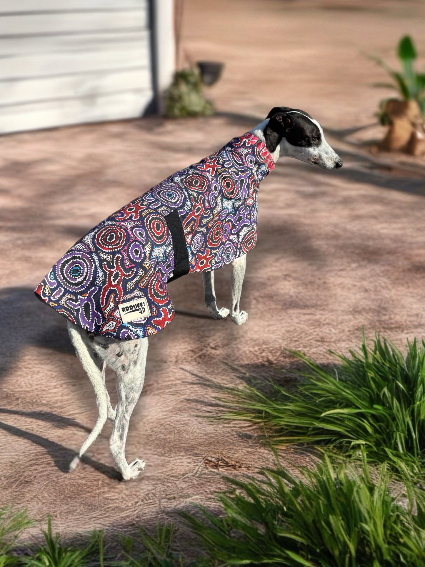 Painted in violet indigenous design greyhound sports coat mid weight cotton & fleece Autumn wear