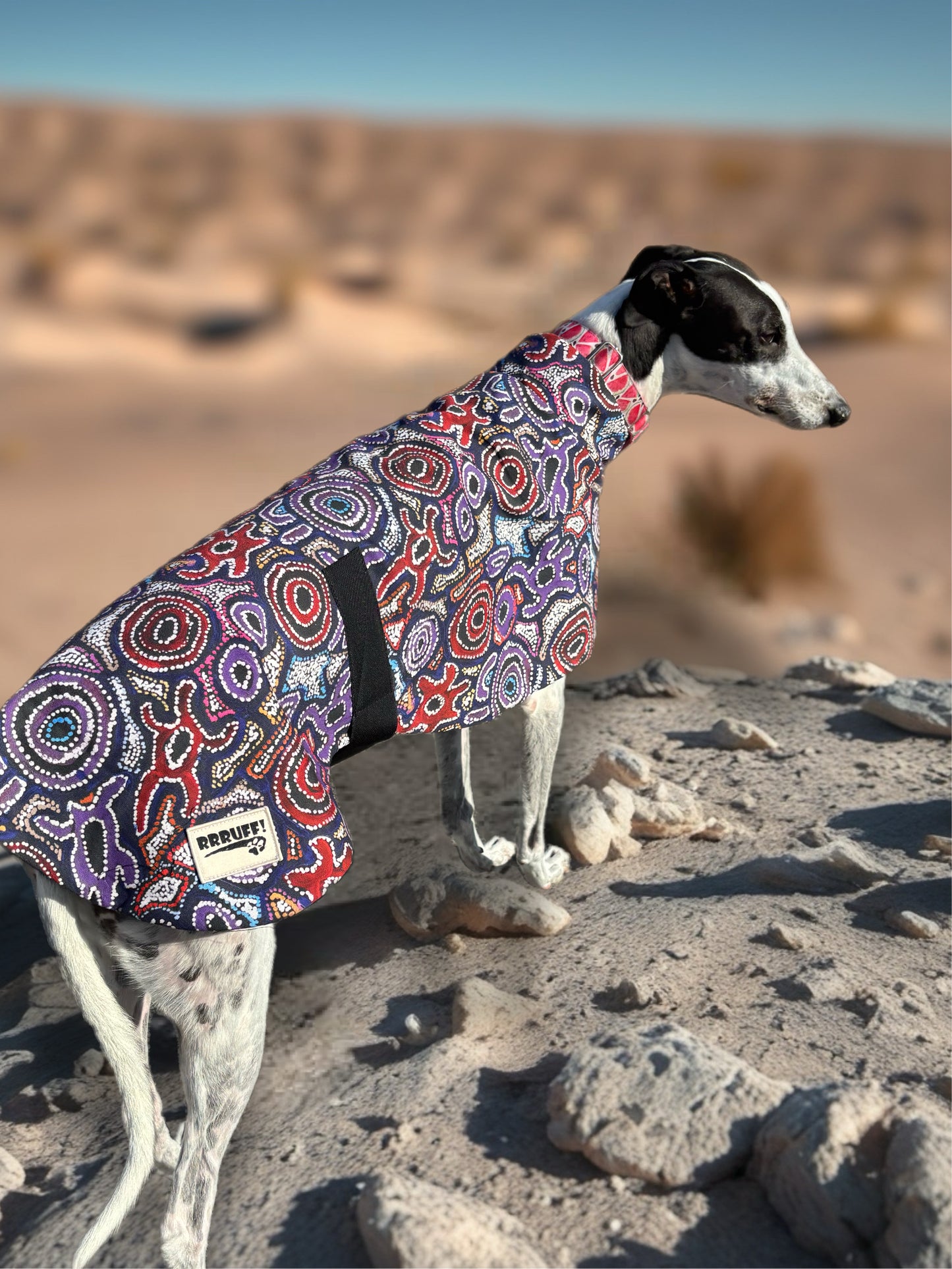 Painted in violet indigenous design greyhound sports coat mid weight cotton & fleece Autumn wear