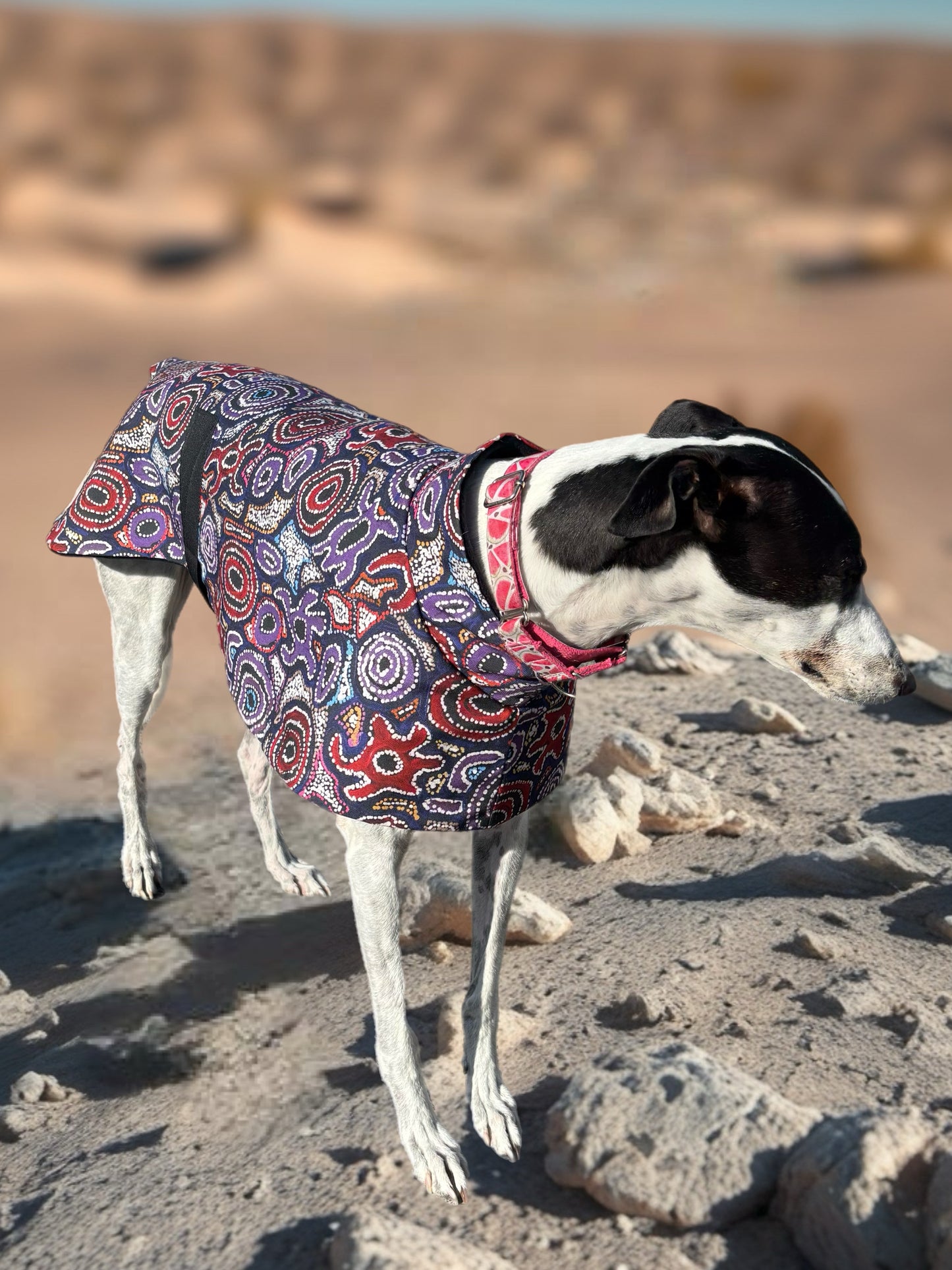 Painted in violet indigenous design greyhound sports coat mid weight cotton & fleece Autumn wear