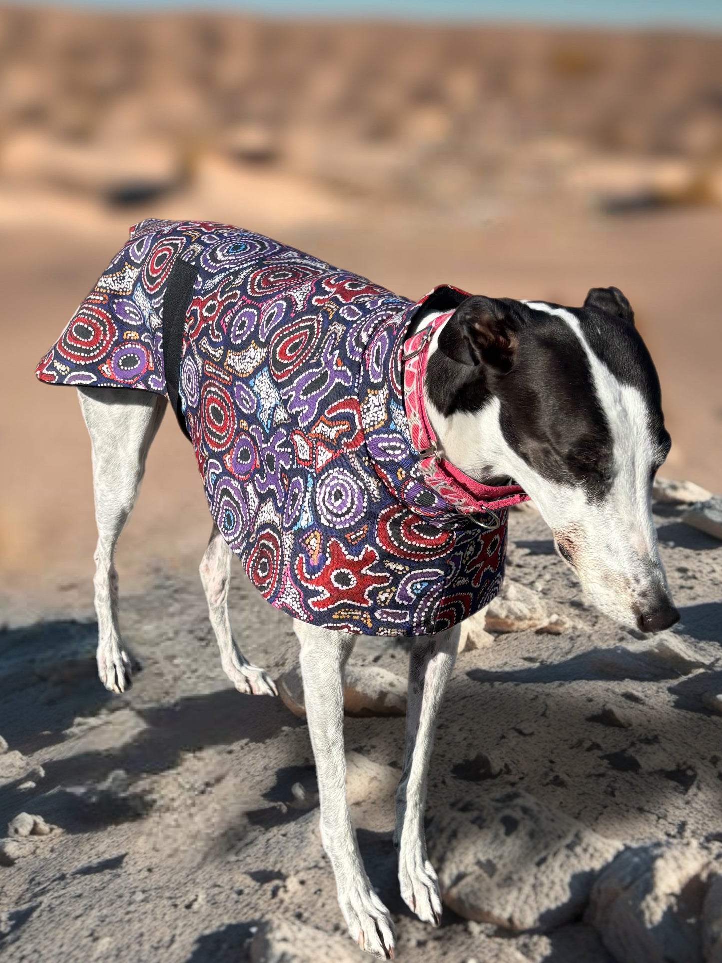 Painted in violet indigenous design greyhound sports coat mid weight cotton & fleece Autumn wear