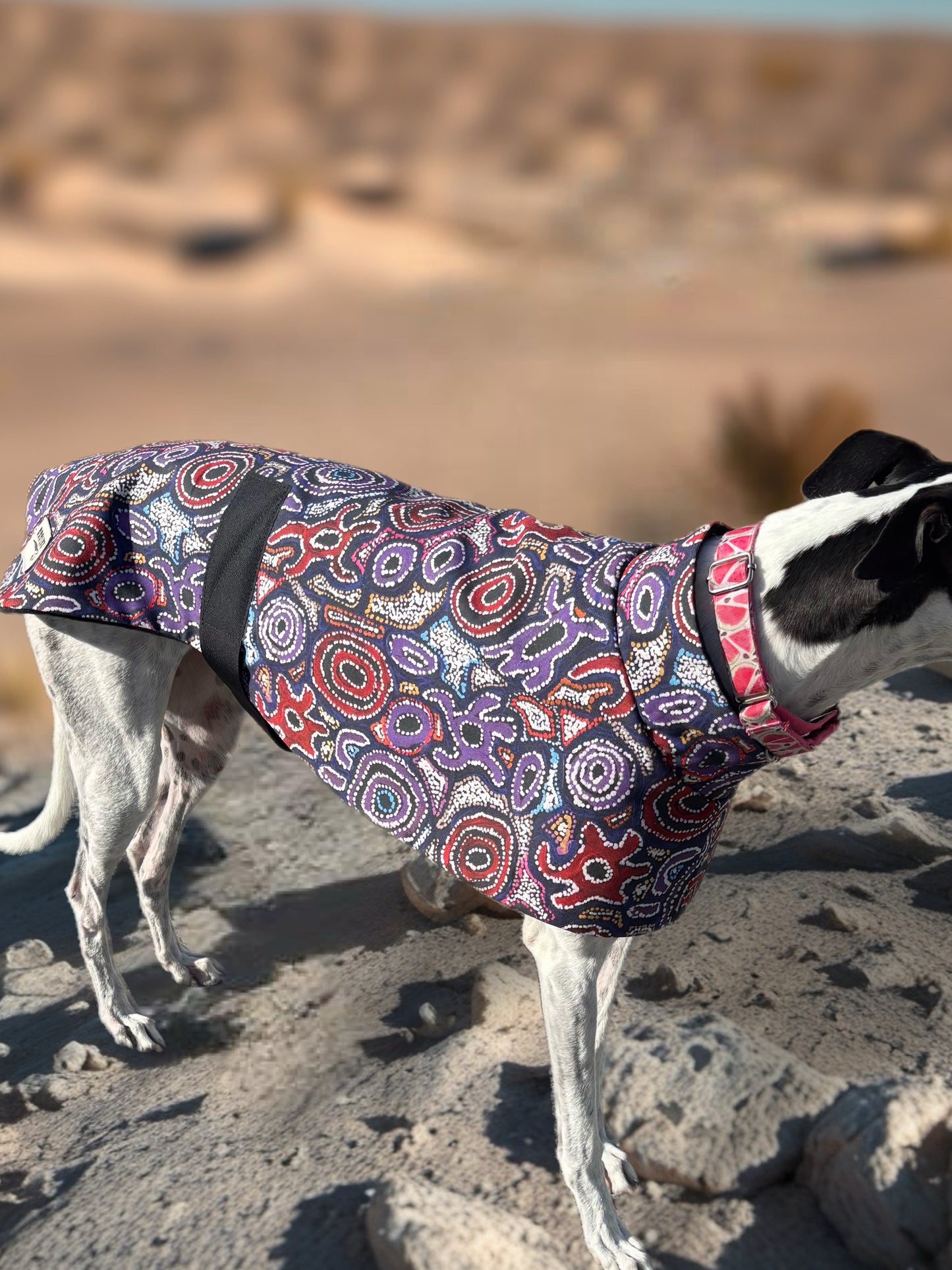 Painted in violet indigenous design greyhound sports coat mid weight cotton & fleece Autumn wear