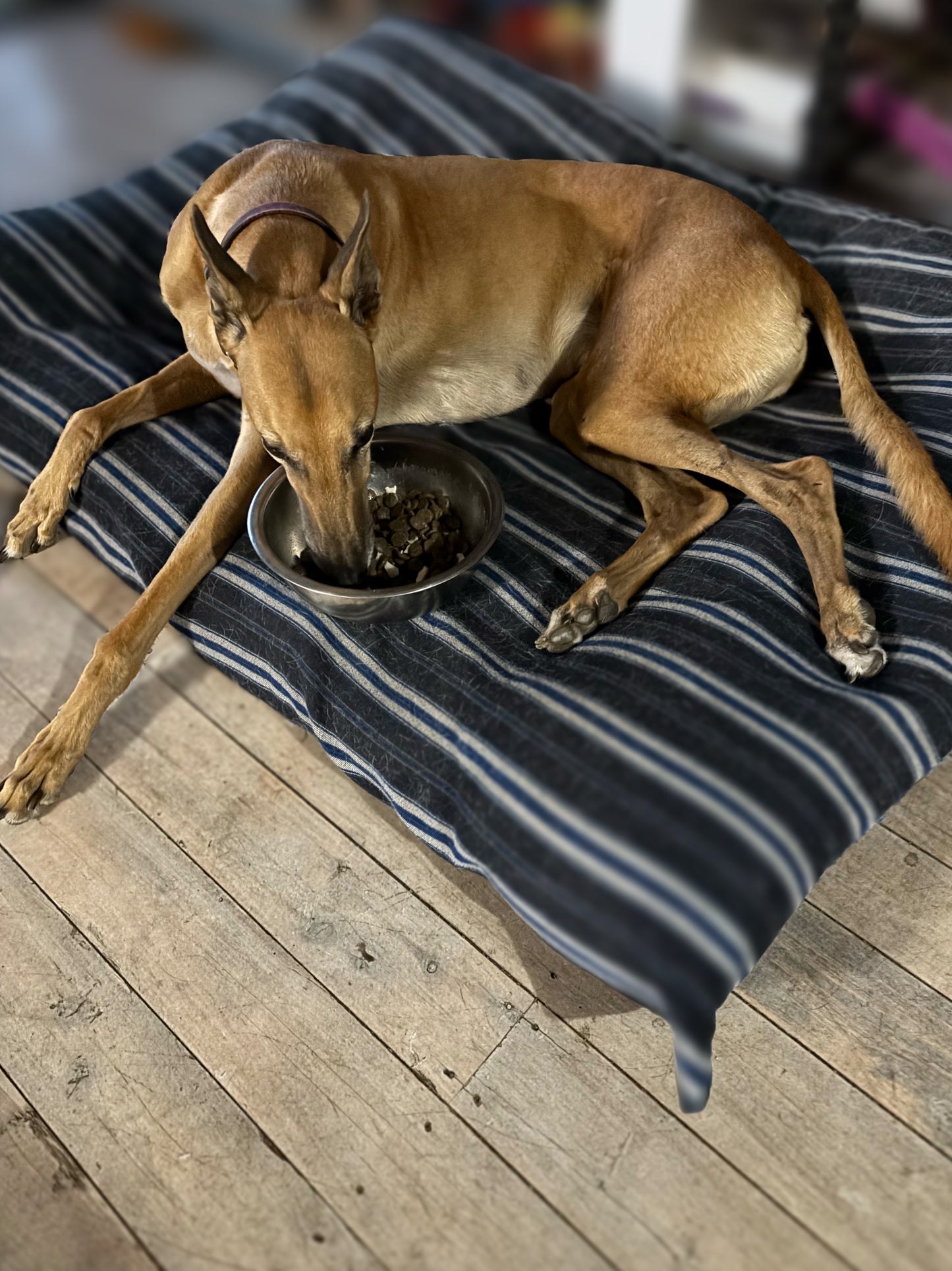 Stuff It Dog Bed Cover only XL Dog Bed. Large Dog Bed. Furnishing fabric Dog Bed. Washable.