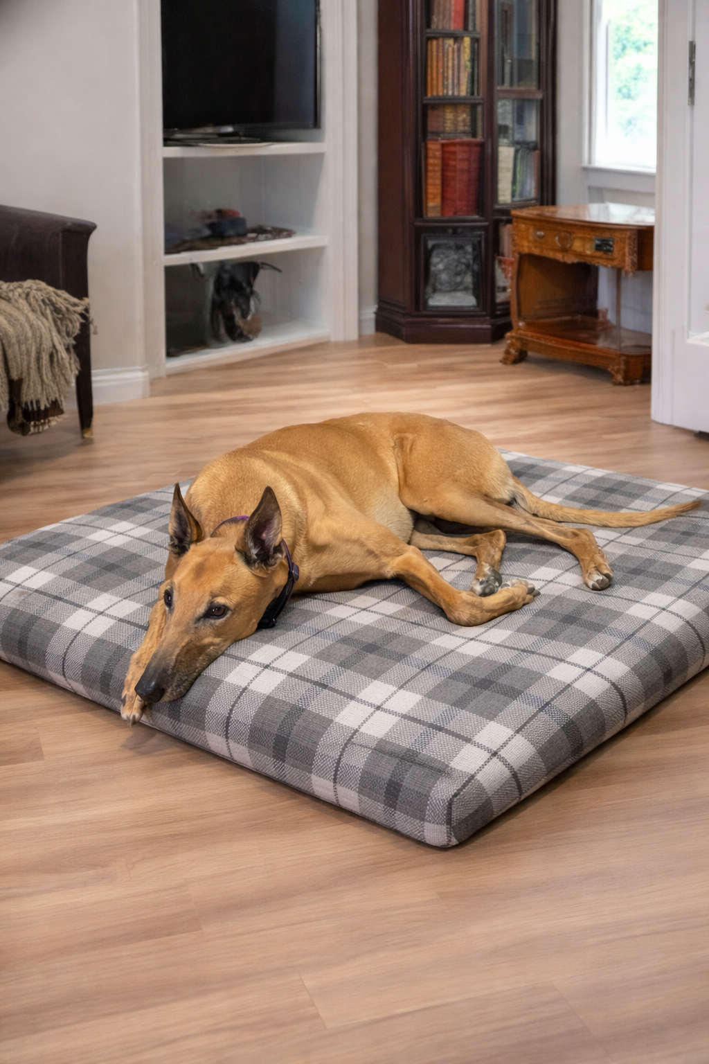 Stuff It Dog Bed Cover only XL Dog Bed. Large Dog Bed. Furnishing fabric Dog Bed. Washable.