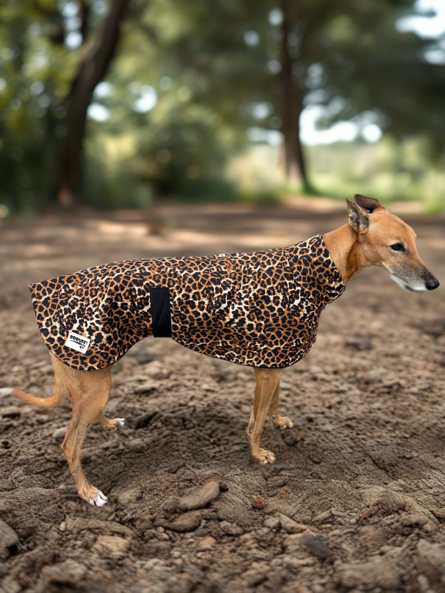 Wild luxe leopard print sports coat light weight cotton & fleece Autumn wear