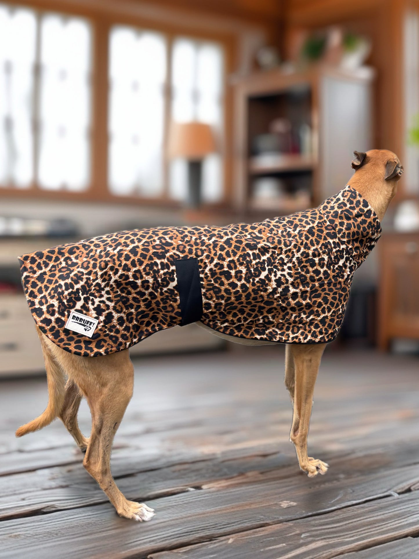 Wild luxe leopard print sports coat light weight cotton & fleece Autumn wear