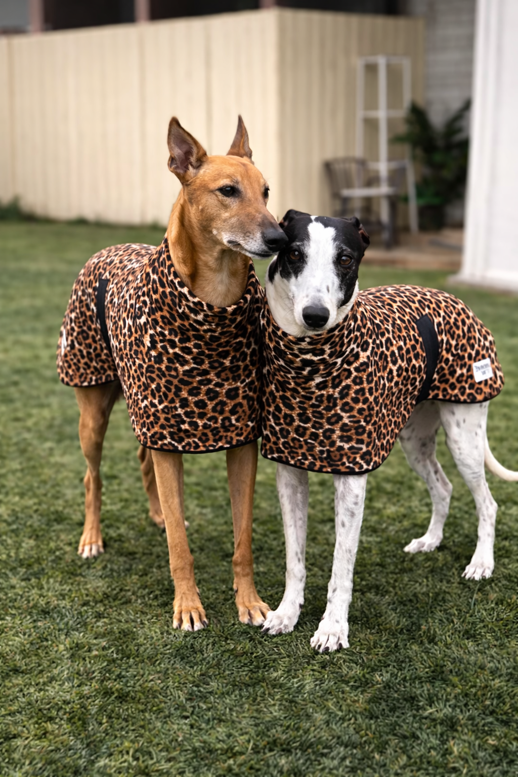 Wild luxe leopard print sports coat light weight cotton & fleece Autumn wear