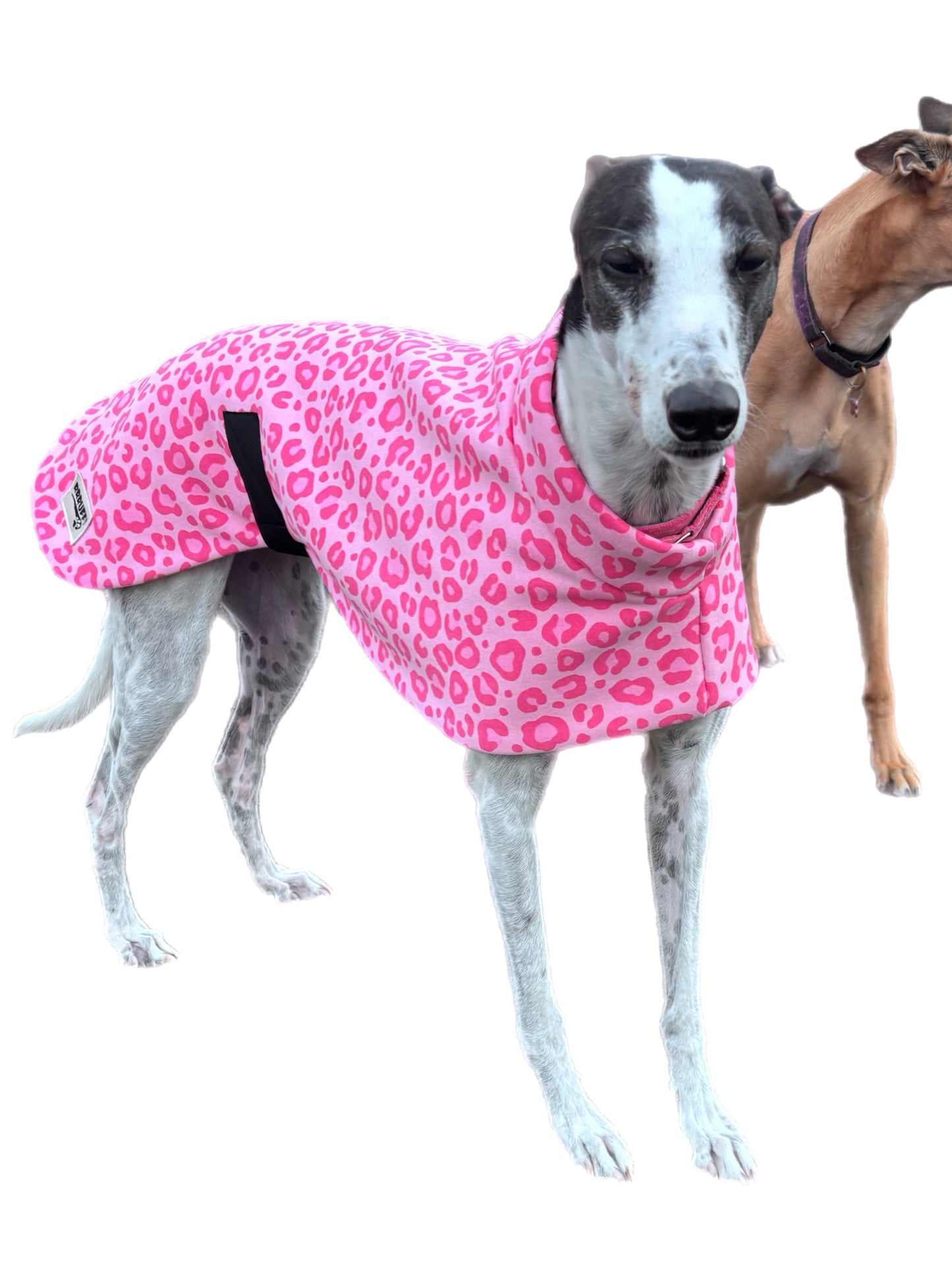 Pink leopard girly girl soft fleecy greyhound sport coat