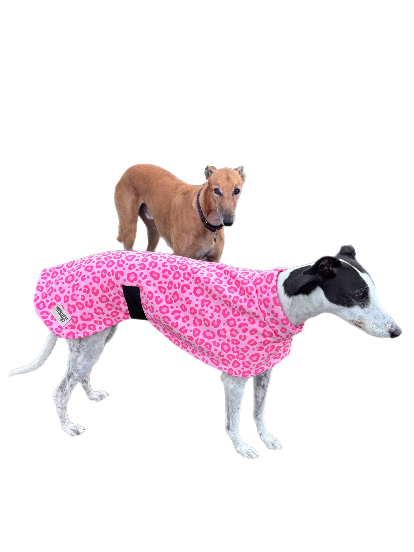 Pink leopard girly girl soft fleecy greyhound sport coat