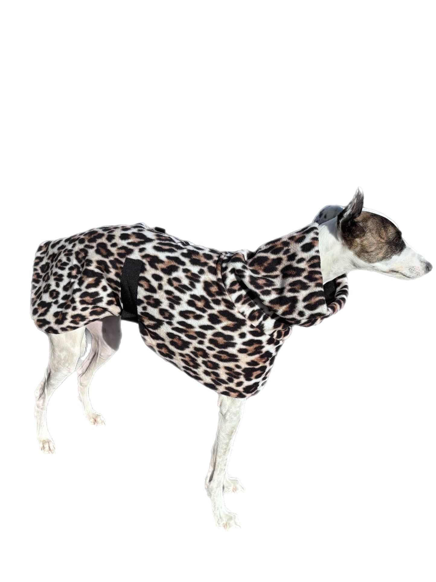 Wild luxe whippet polar fleece coat deluxe style huge neck