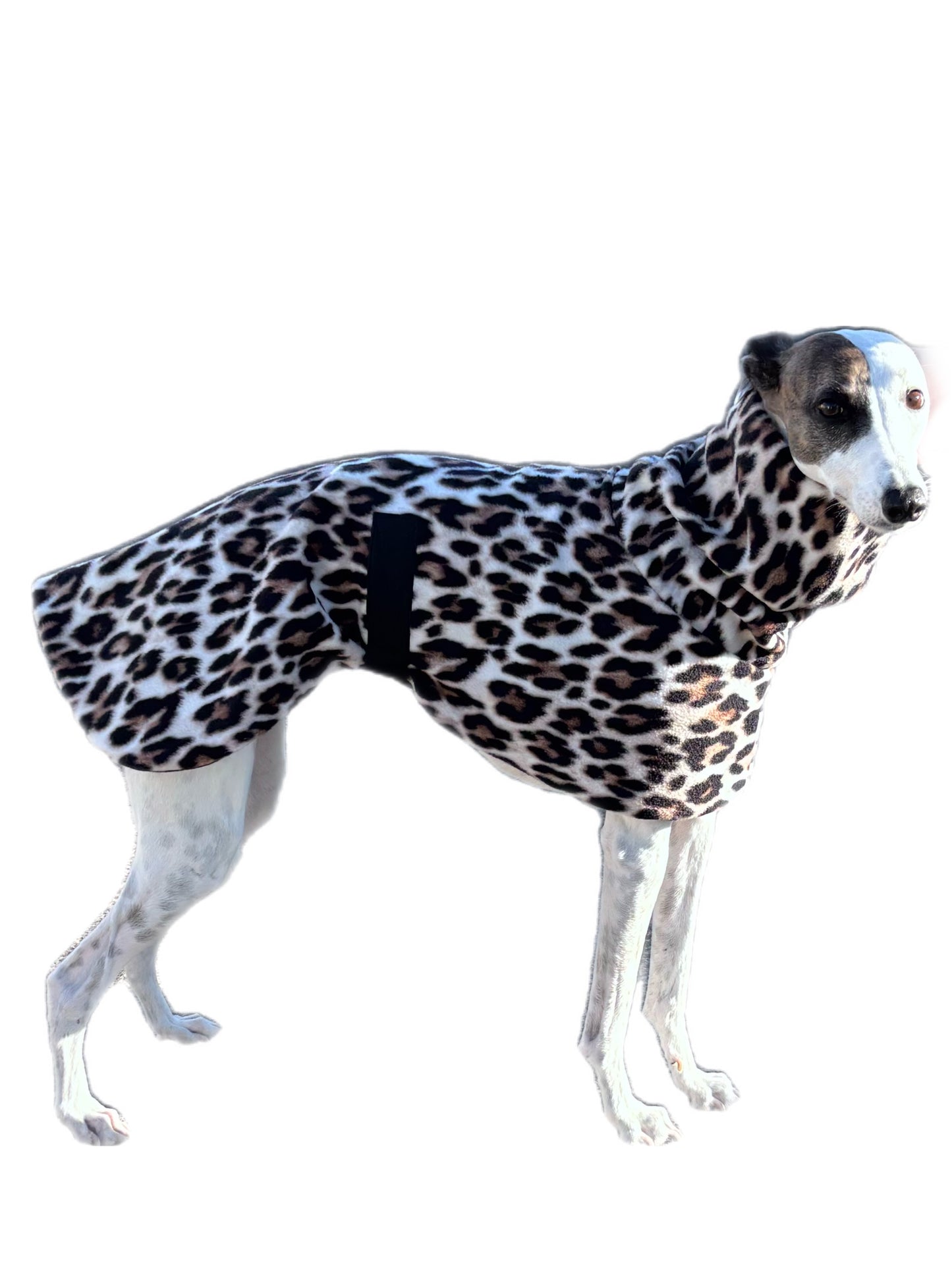 Wild luxe whippet polar fleece coat deluxe style huge neck
