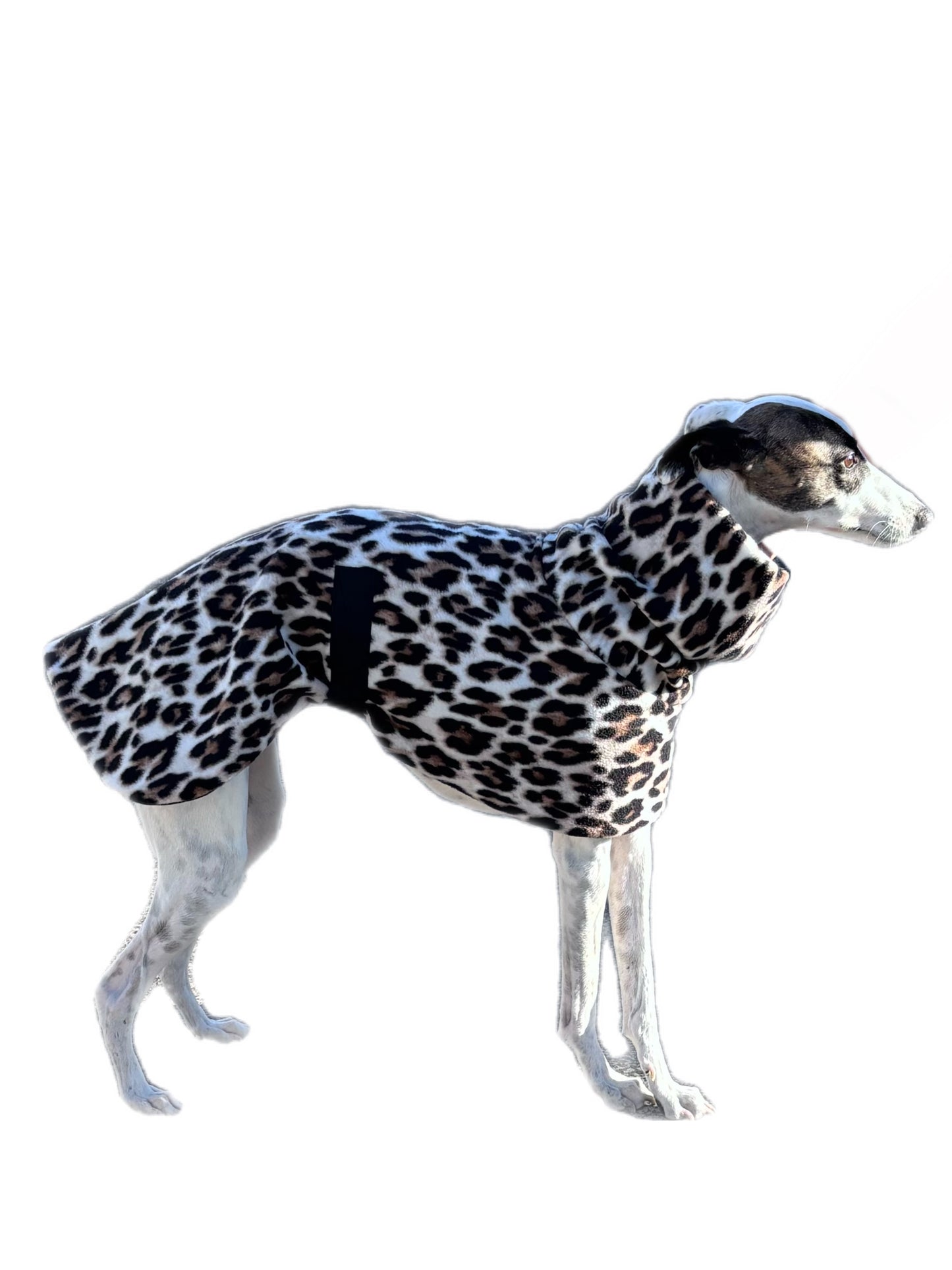 Wild luxe whippet polar fleece coat deluxe style huge neck