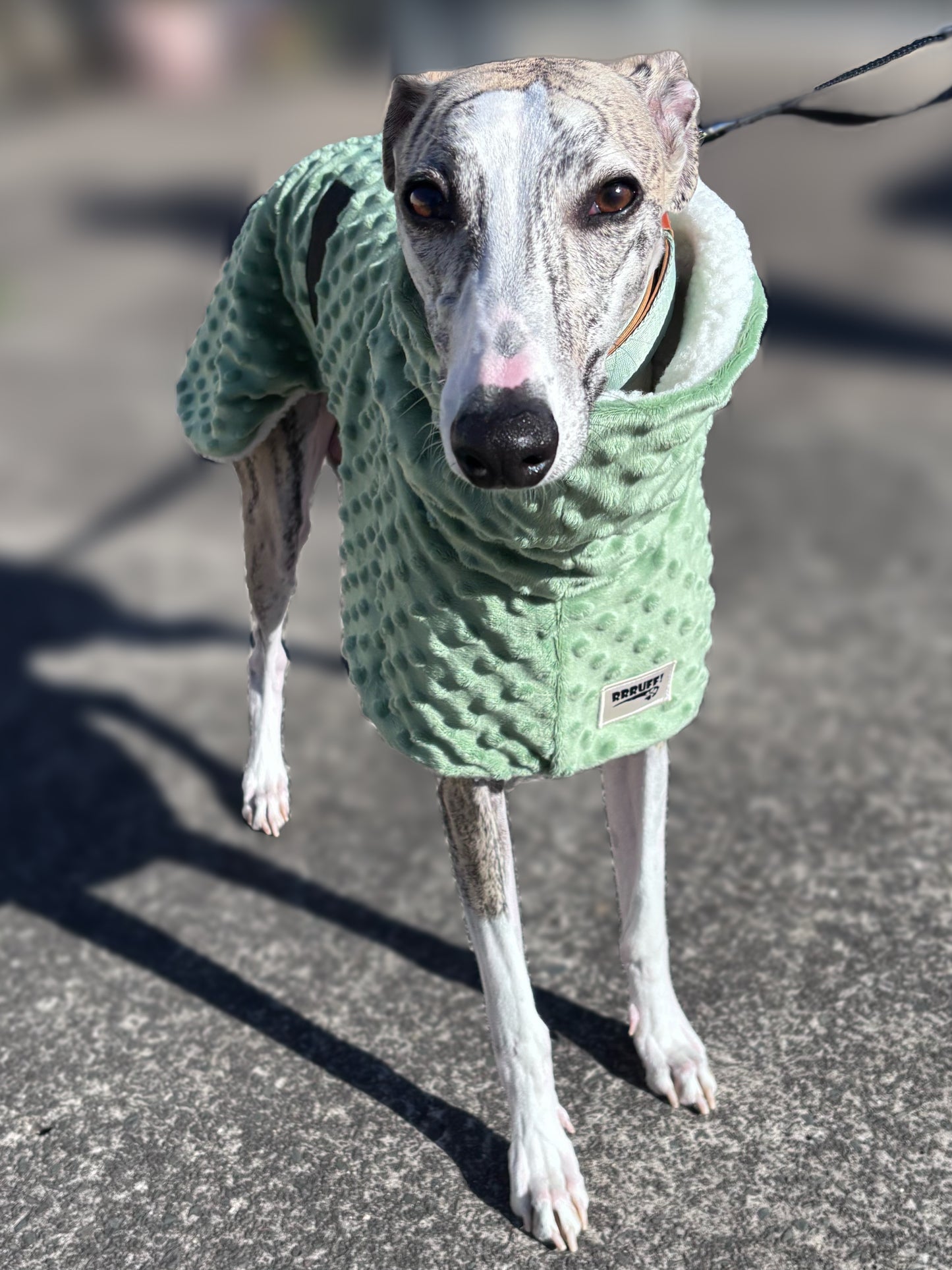Whippet deluxe style coat in super soft minky fleece