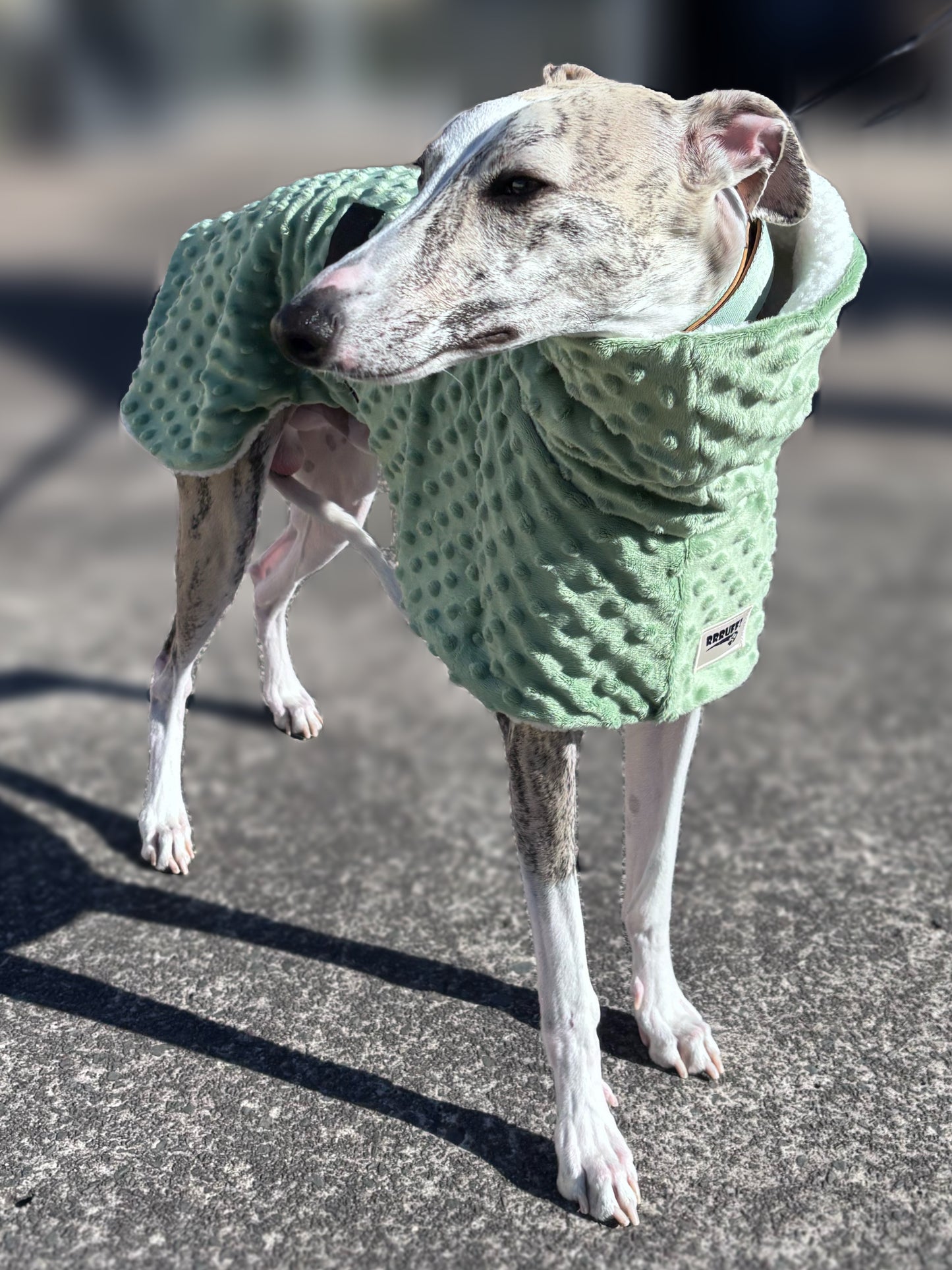Whippet deluxe style coat in super soft minky fleece