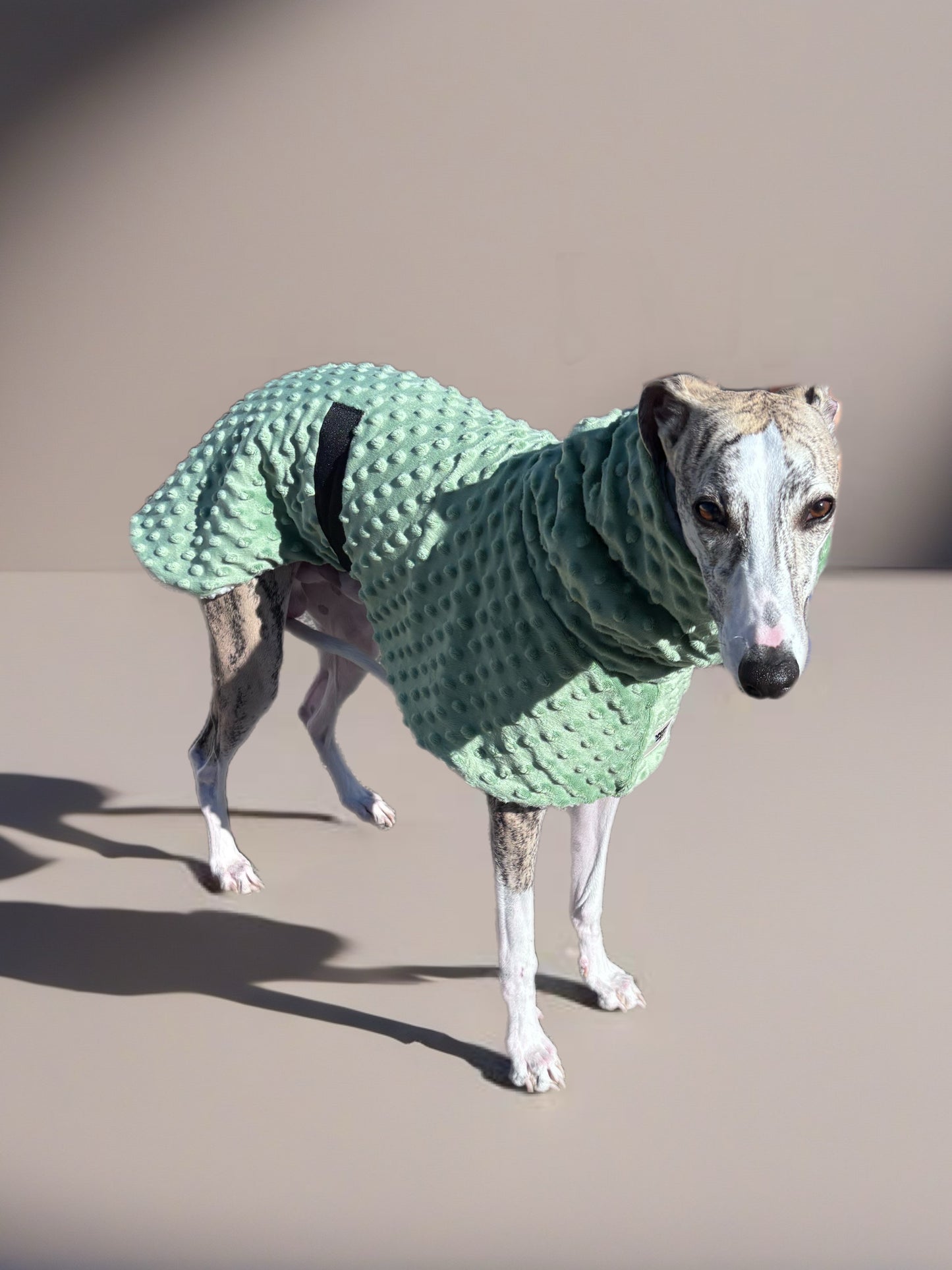Whippet deluxe style coat in super soft minky fleece