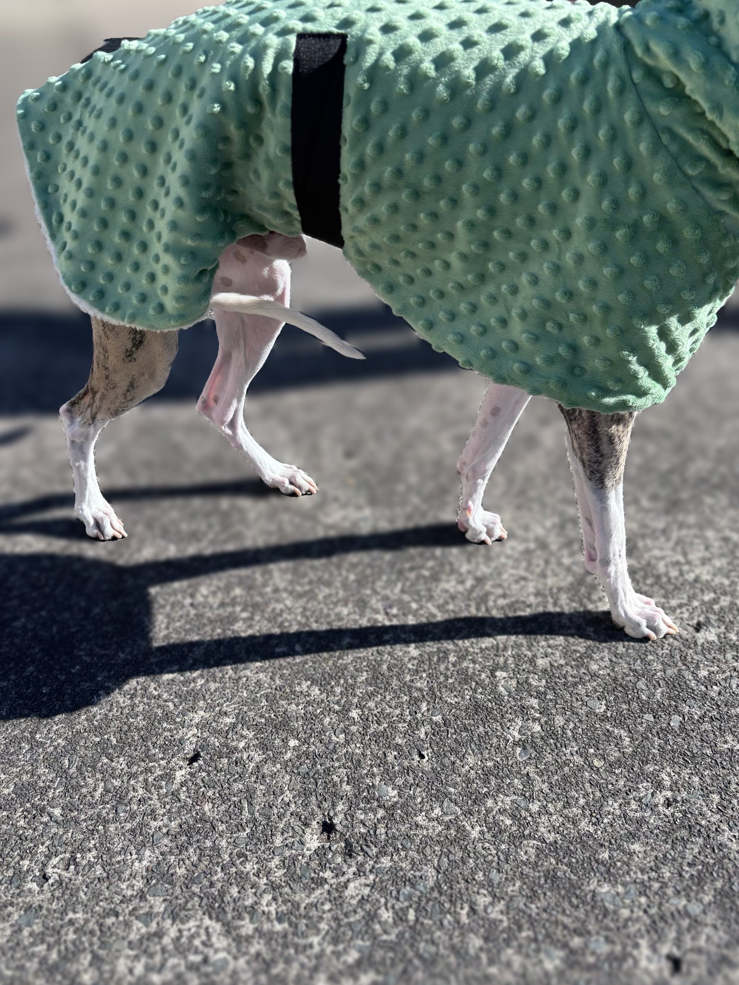 Whippet deluxe style coat in super soft minky fleece