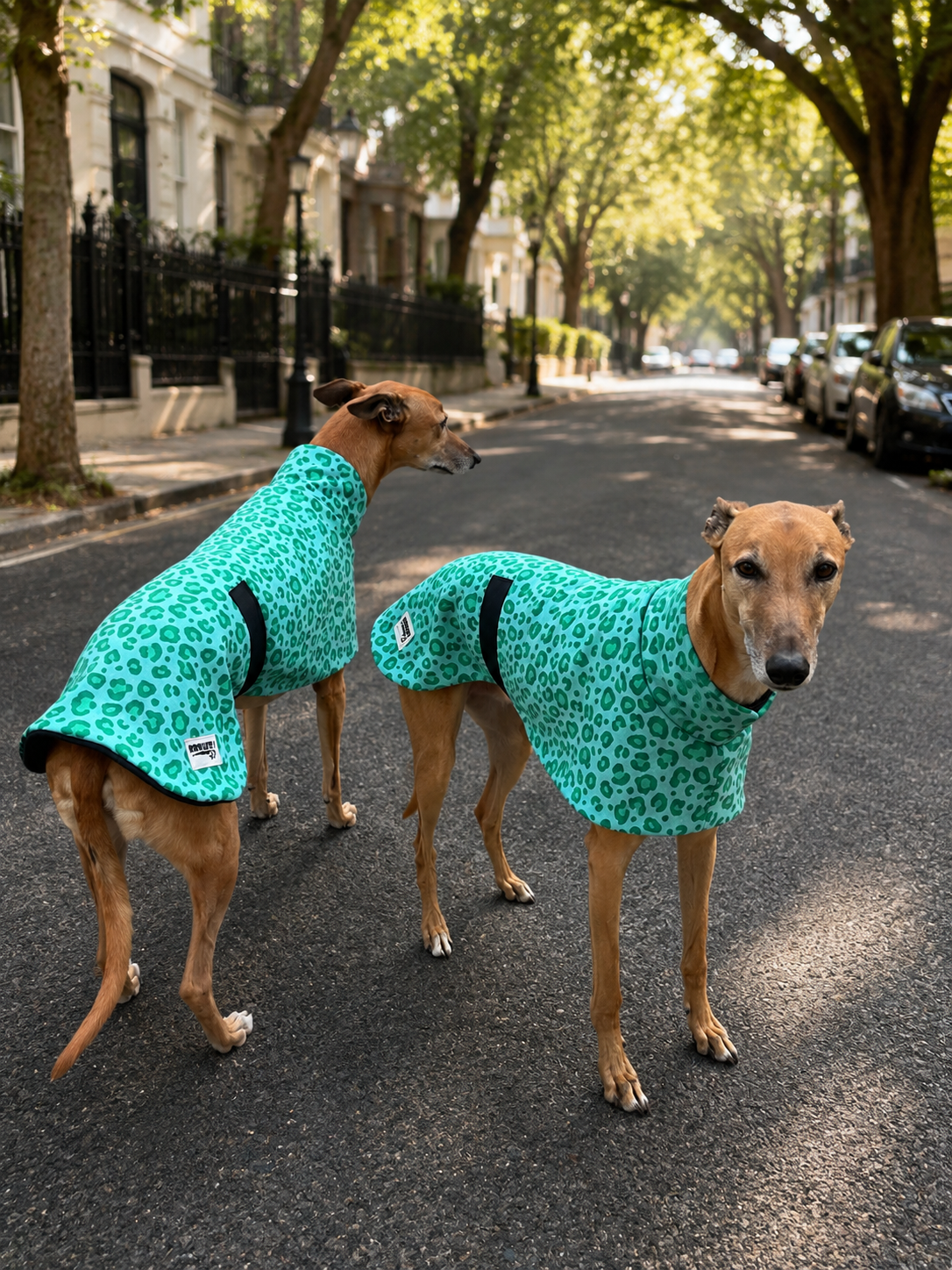Mint leopard soft fleecy greyhound sport coat