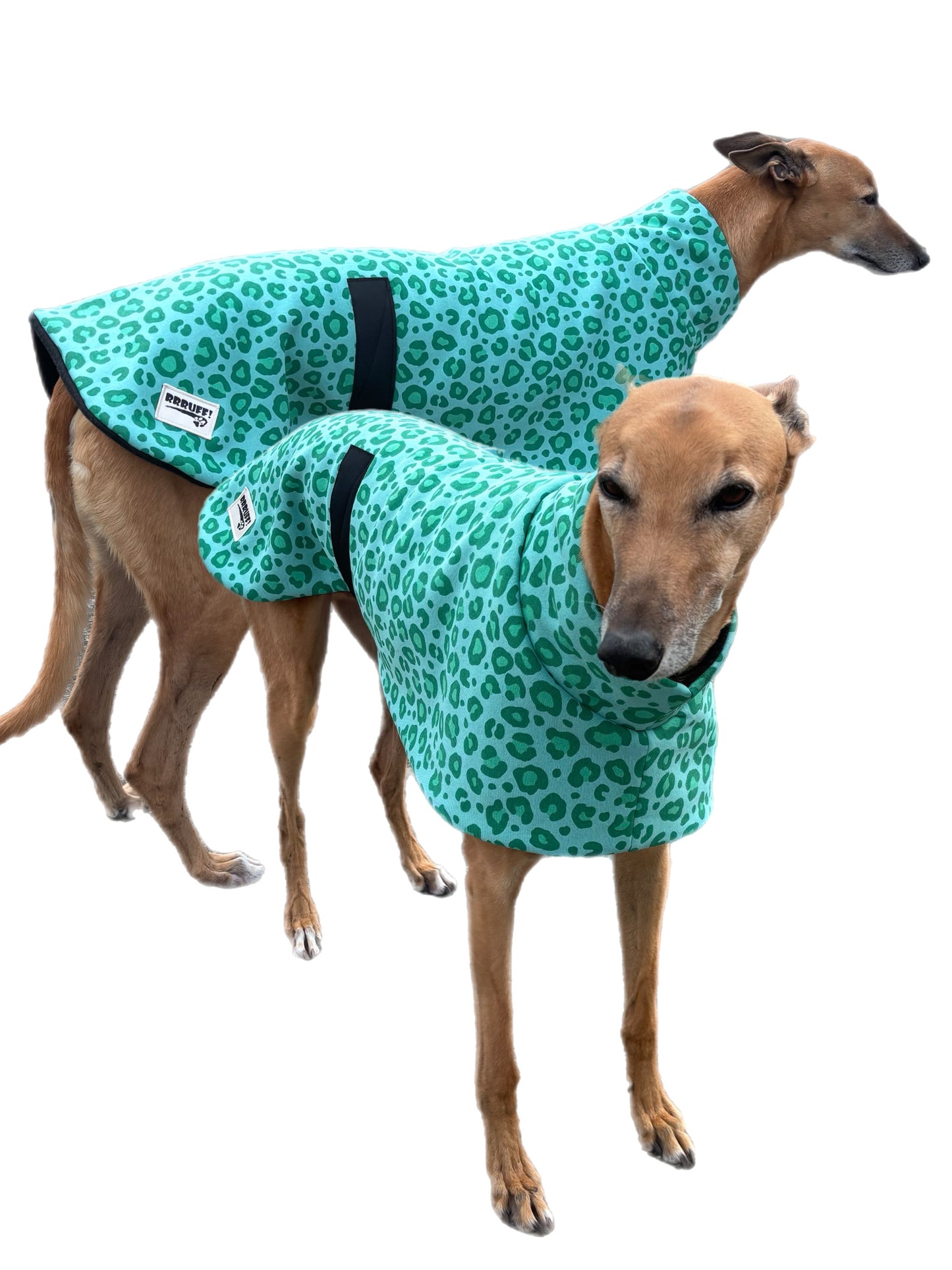 Mint leopard soft fleecy greyhound sport coat