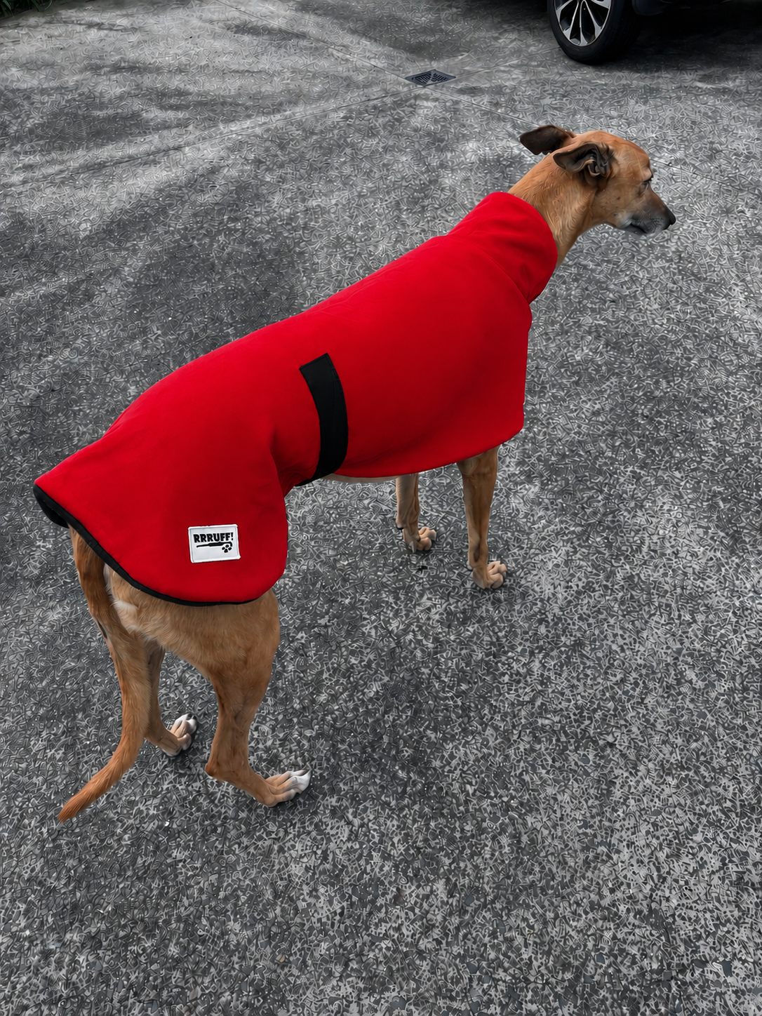 The in-betweener sports coat for greyhounds in medium weight  polar fleece washable