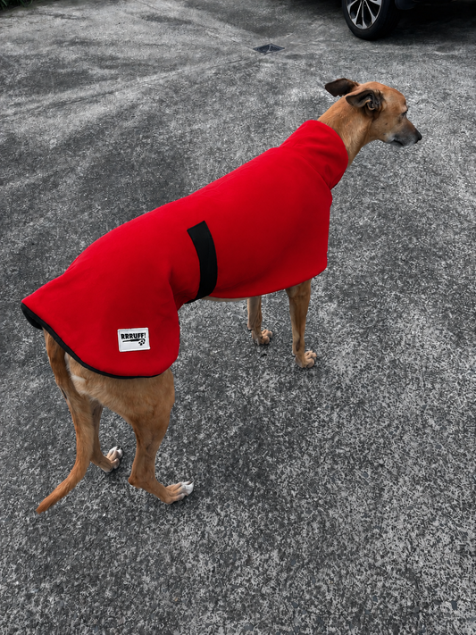 The in-betweener sports coat for greyhounds in medium weight  polar fleece washable