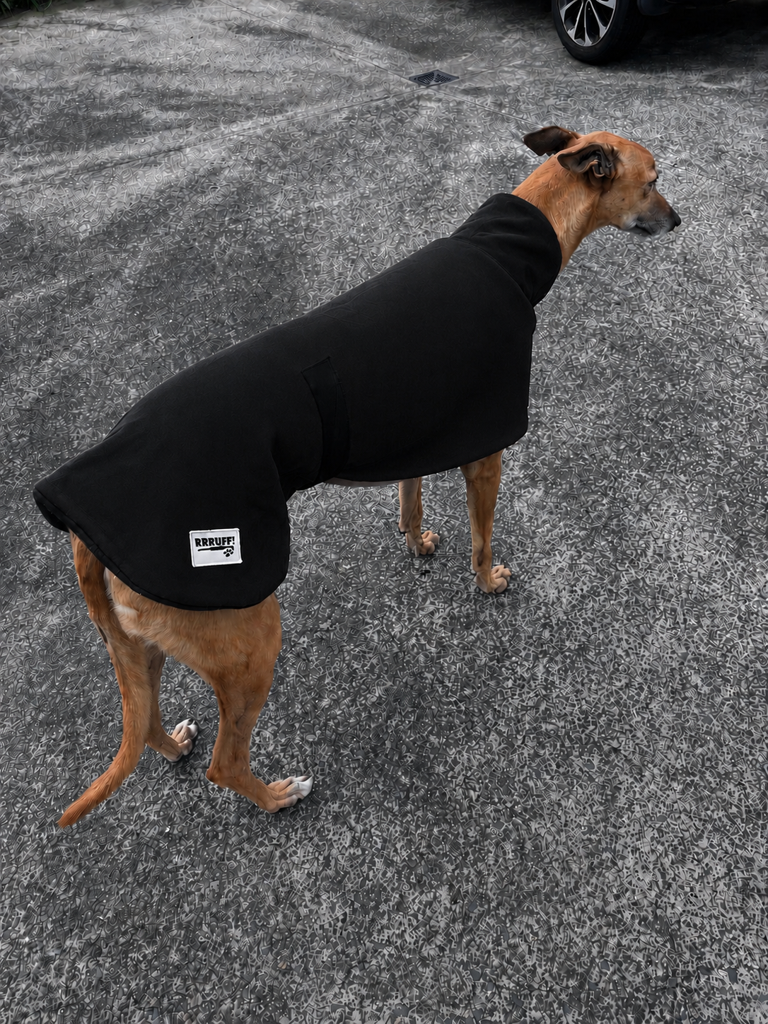 The in-betweener sports coat for greyhounds in medium weight  polar fleece washable
