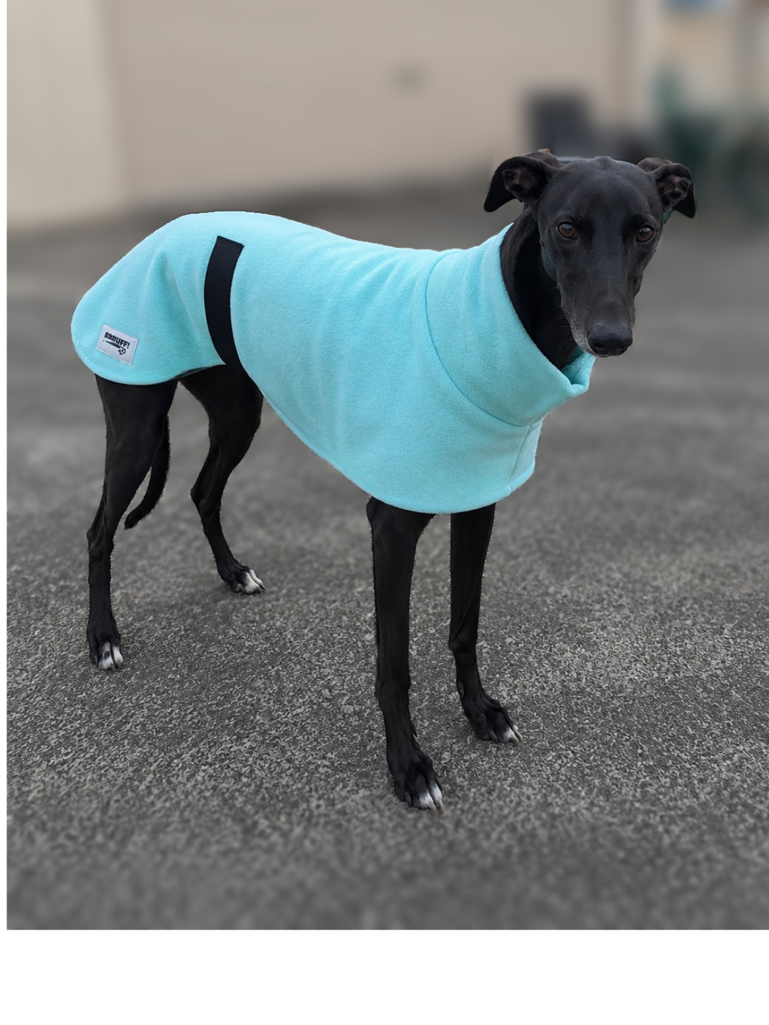 The in-betweener sports coat for greyhounds in medium weight polar fleece washable
