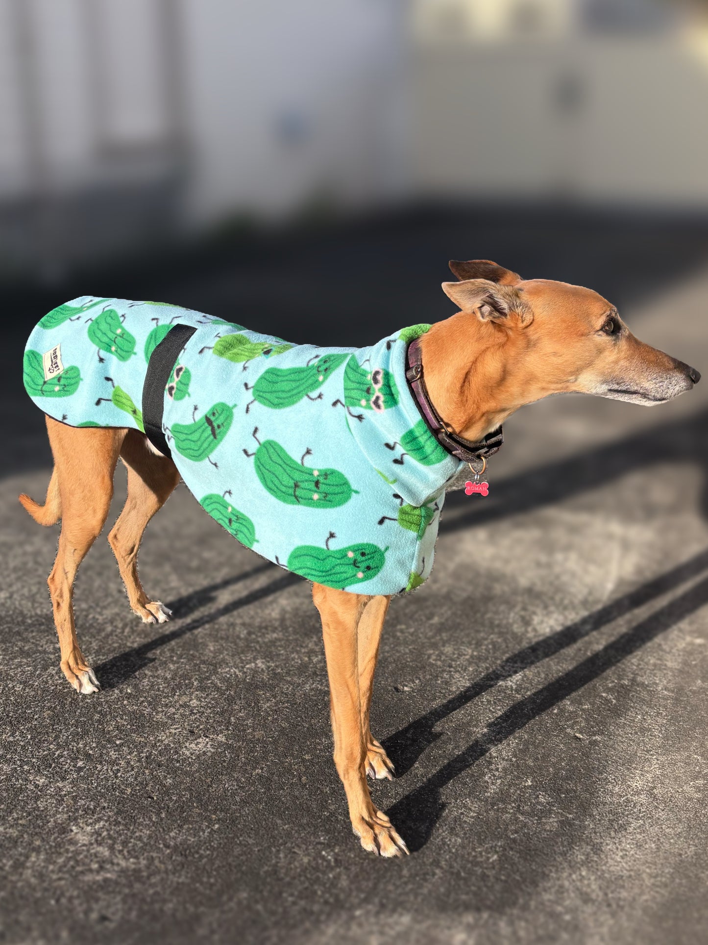 Pickle ball anyone? Greyhound midweight fleece sports washable