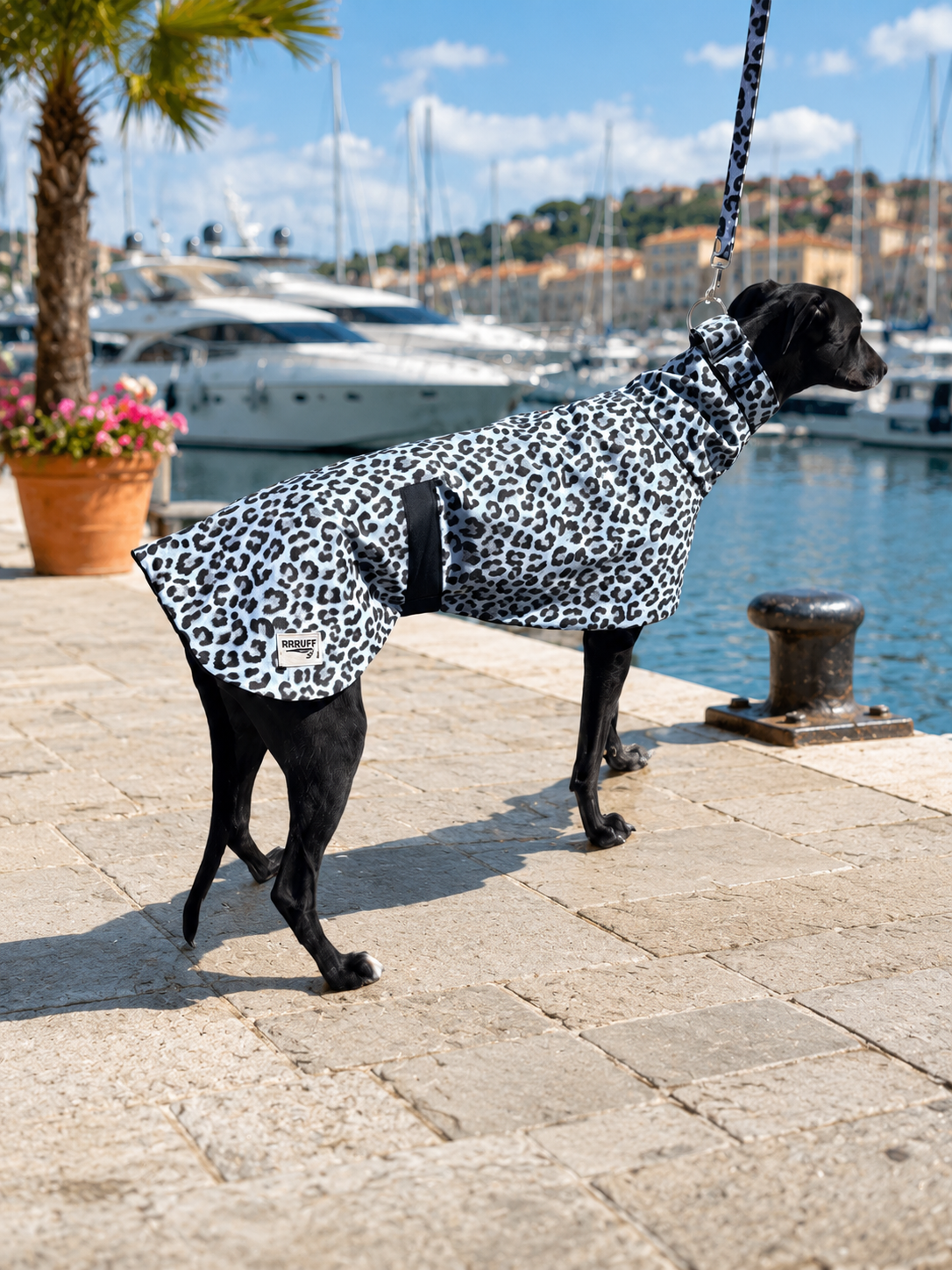 Snow leopard cotton limited stock greyhound cotton & fleece spring wear inbetweener