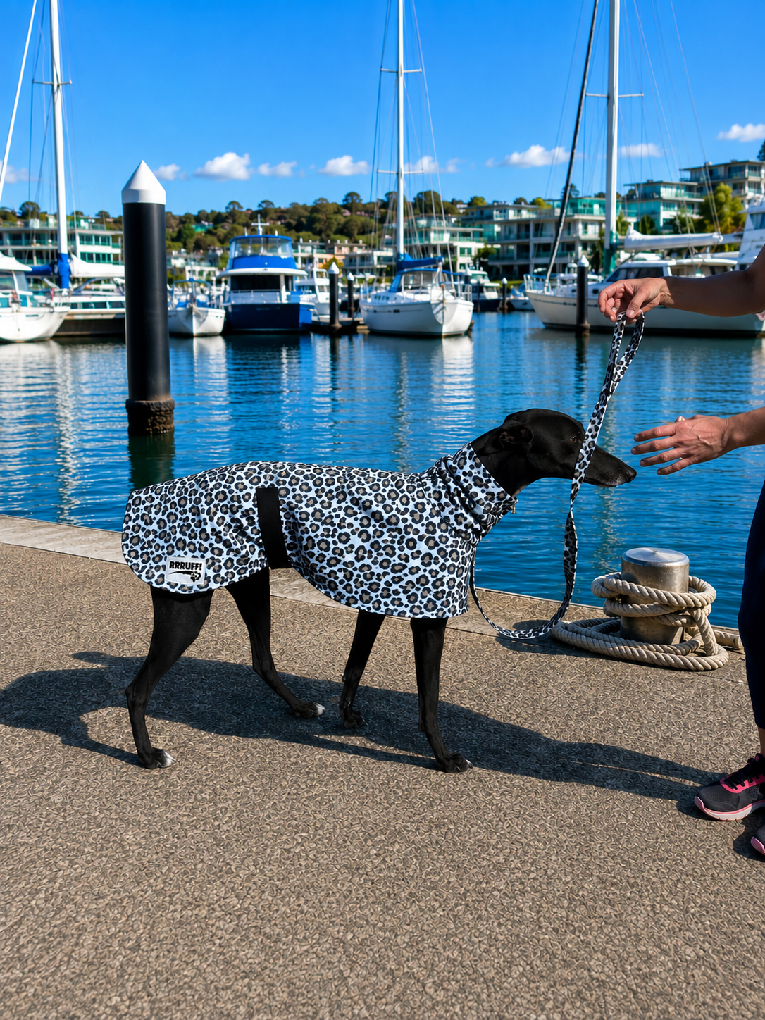Snow leopard cotton limited stock greyhound cotton & fleece spring wear inbetweener