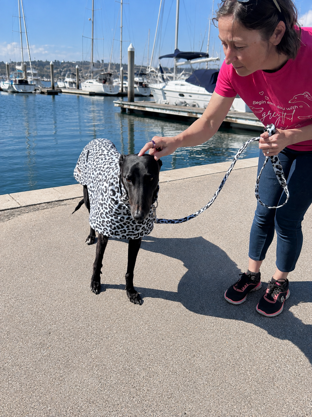 Snow leopard cotton limited stock greyhound cotton & fleece spring wear inbetweener