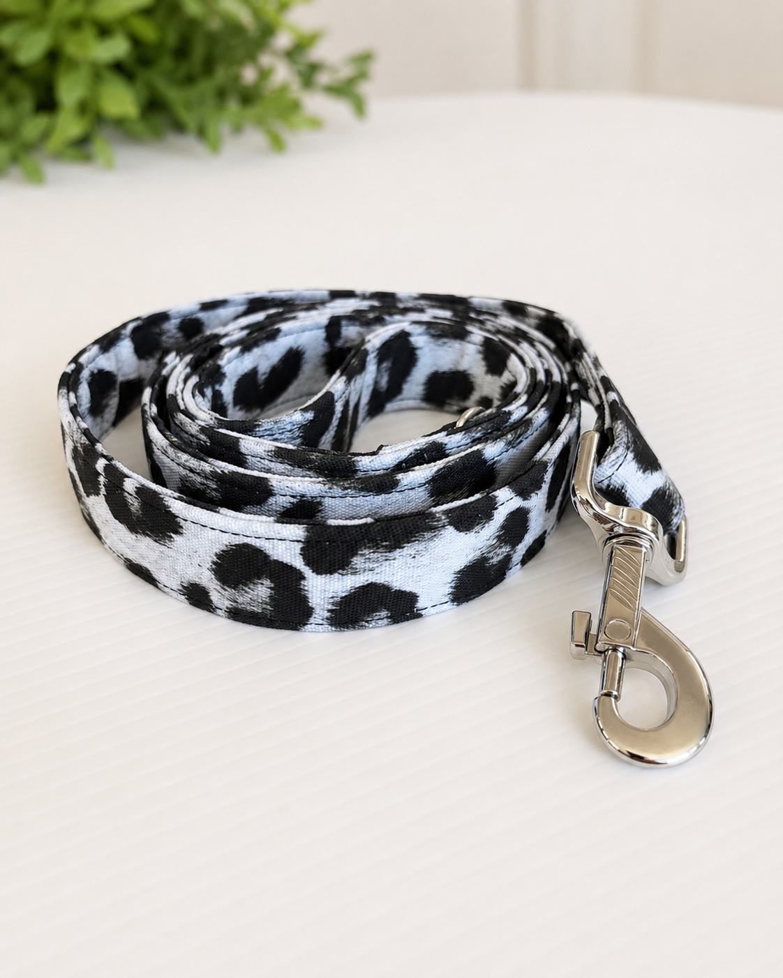 Snow leopard cotton limited stock greyhound cotton & fleece spring wear inbetweener