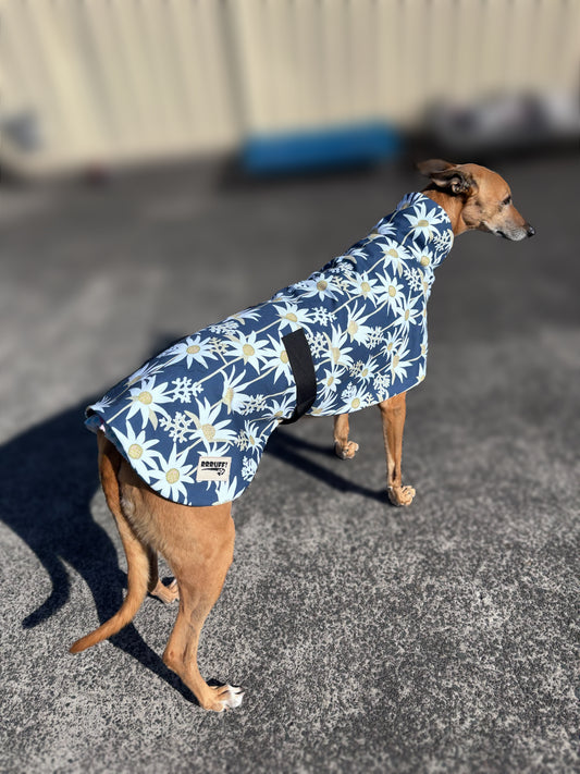 Australian Flannel Flower cotton limited stock greyhound cotton & fleece spring wear inbetweener