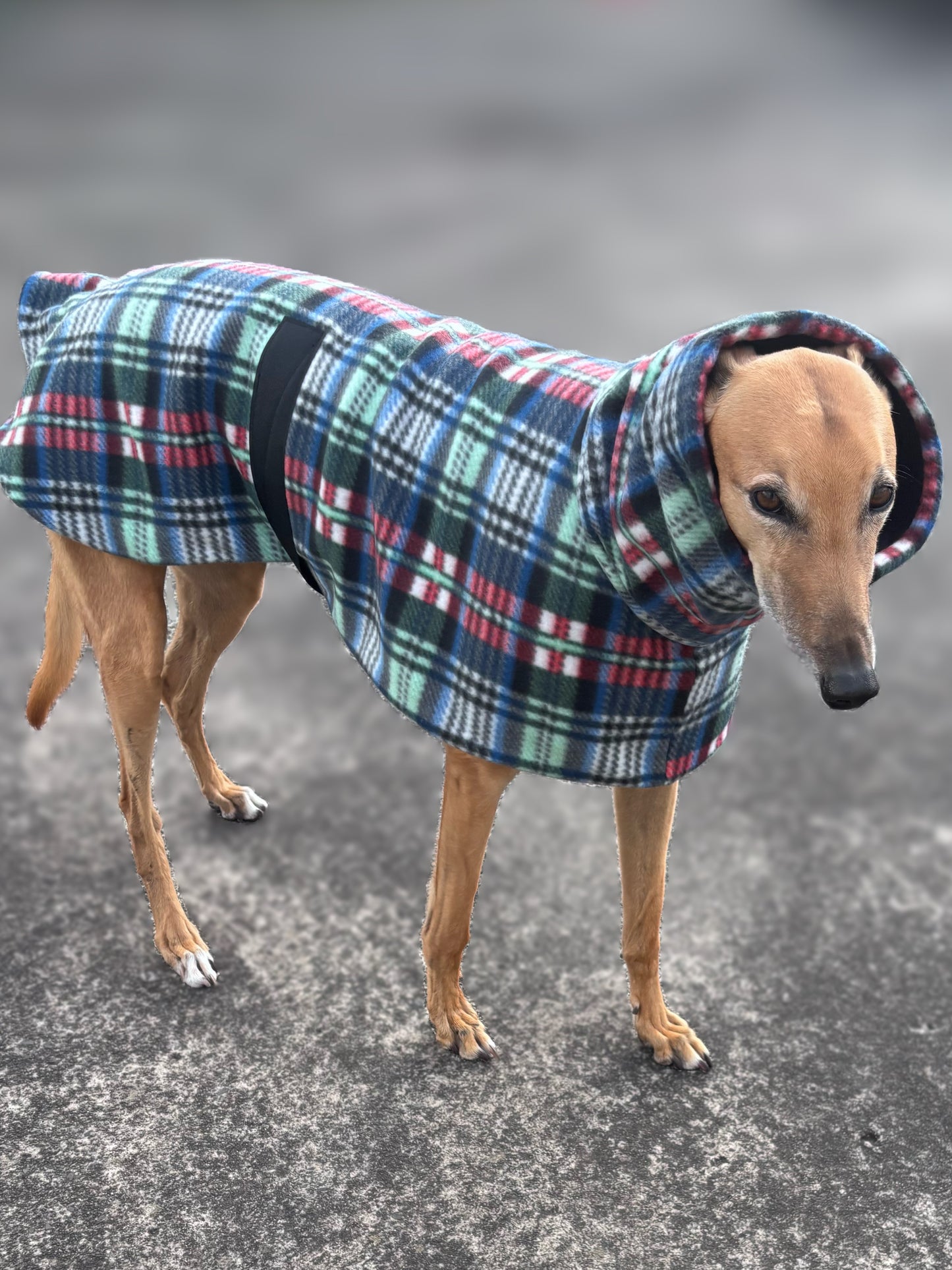 Classic tartan thick fleece coat deluxe style washable winter warmth, clearance