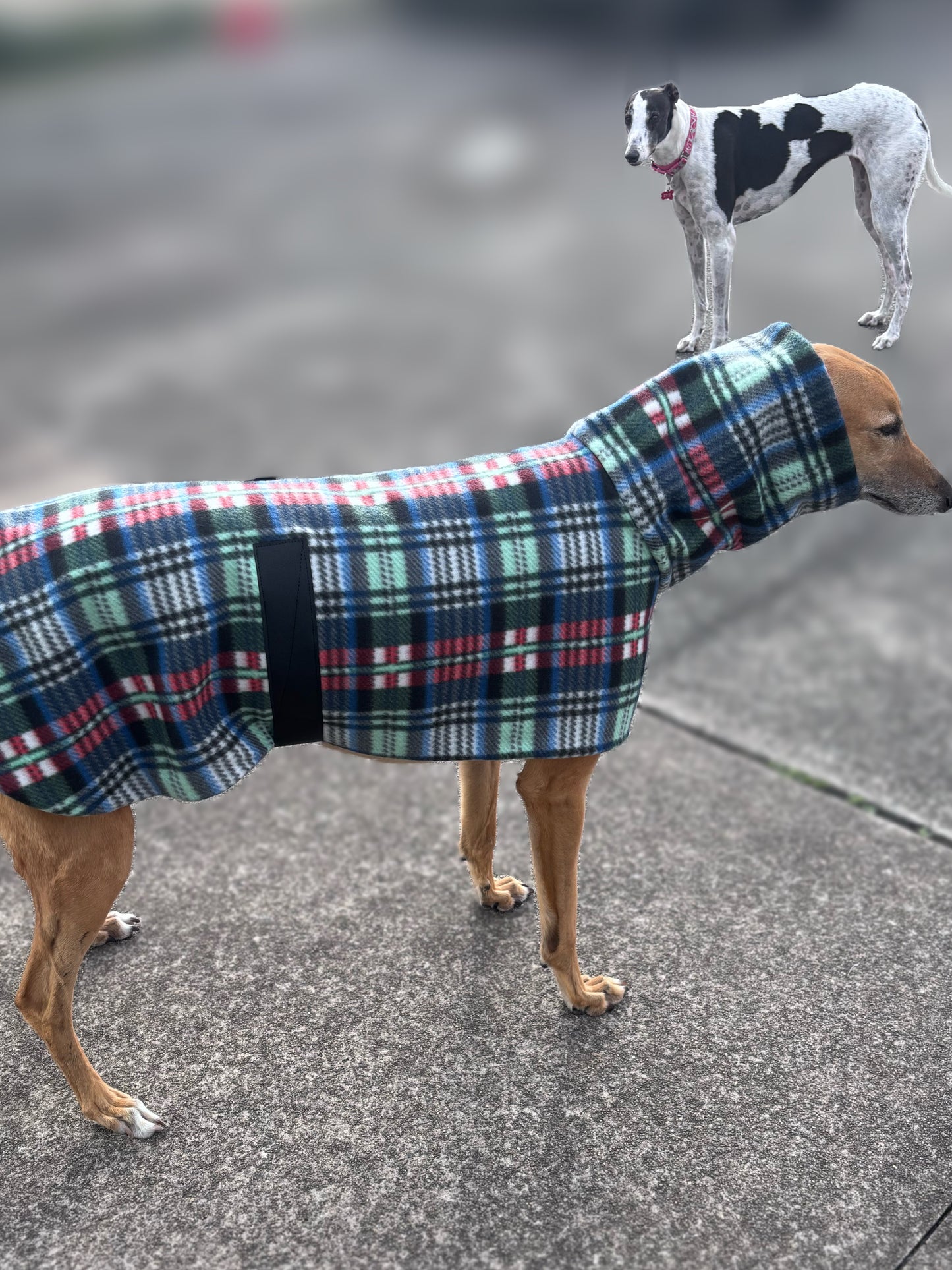 Classic tartan thick fleece coat deluxe style washable winter warmth, clearance