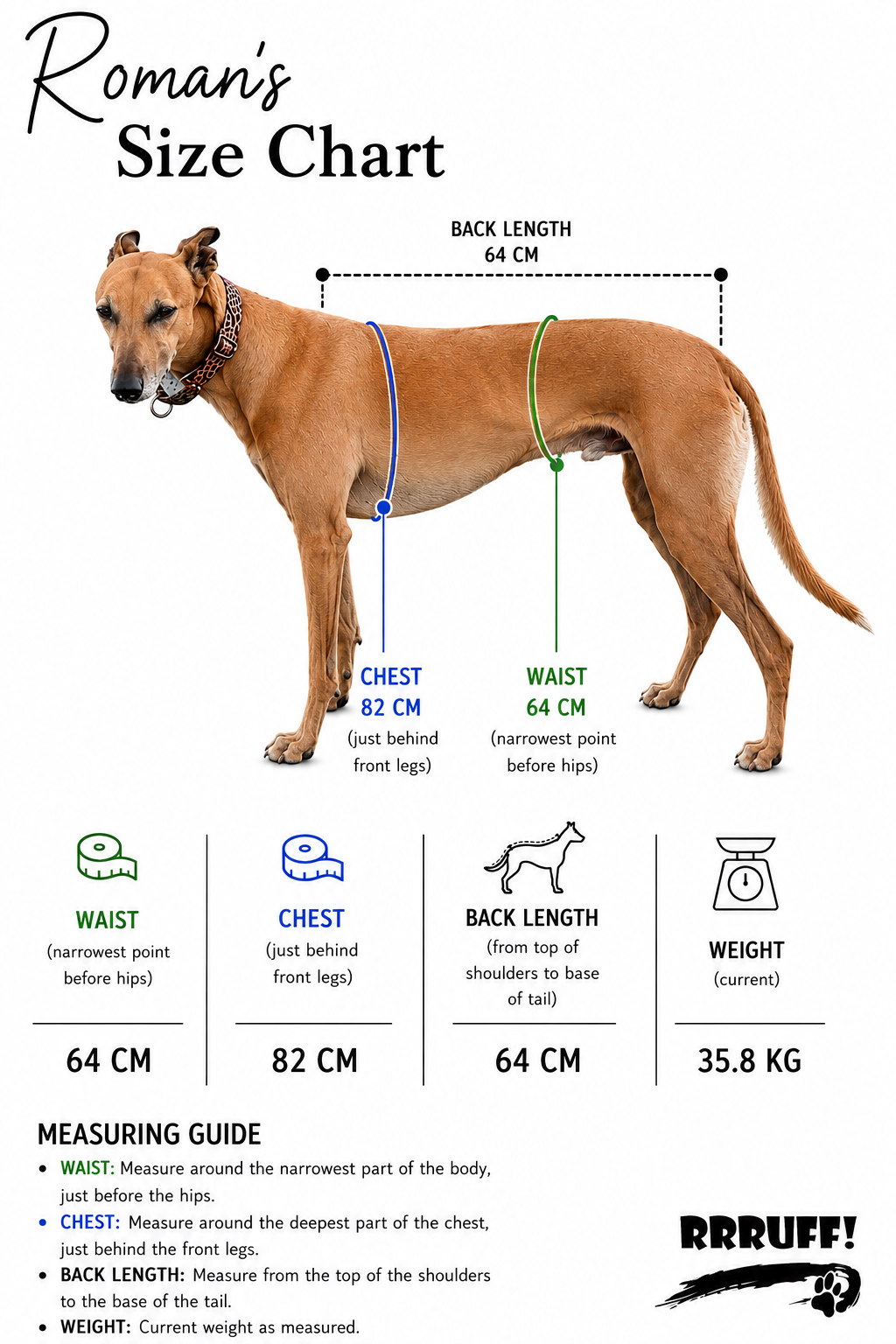 Double Dee harness for the long dogs, escape resistant design