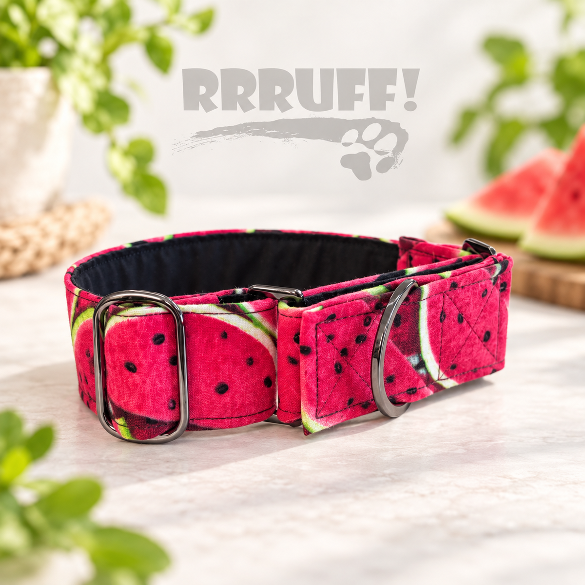 One in a Melon greyhound martingale 38mm