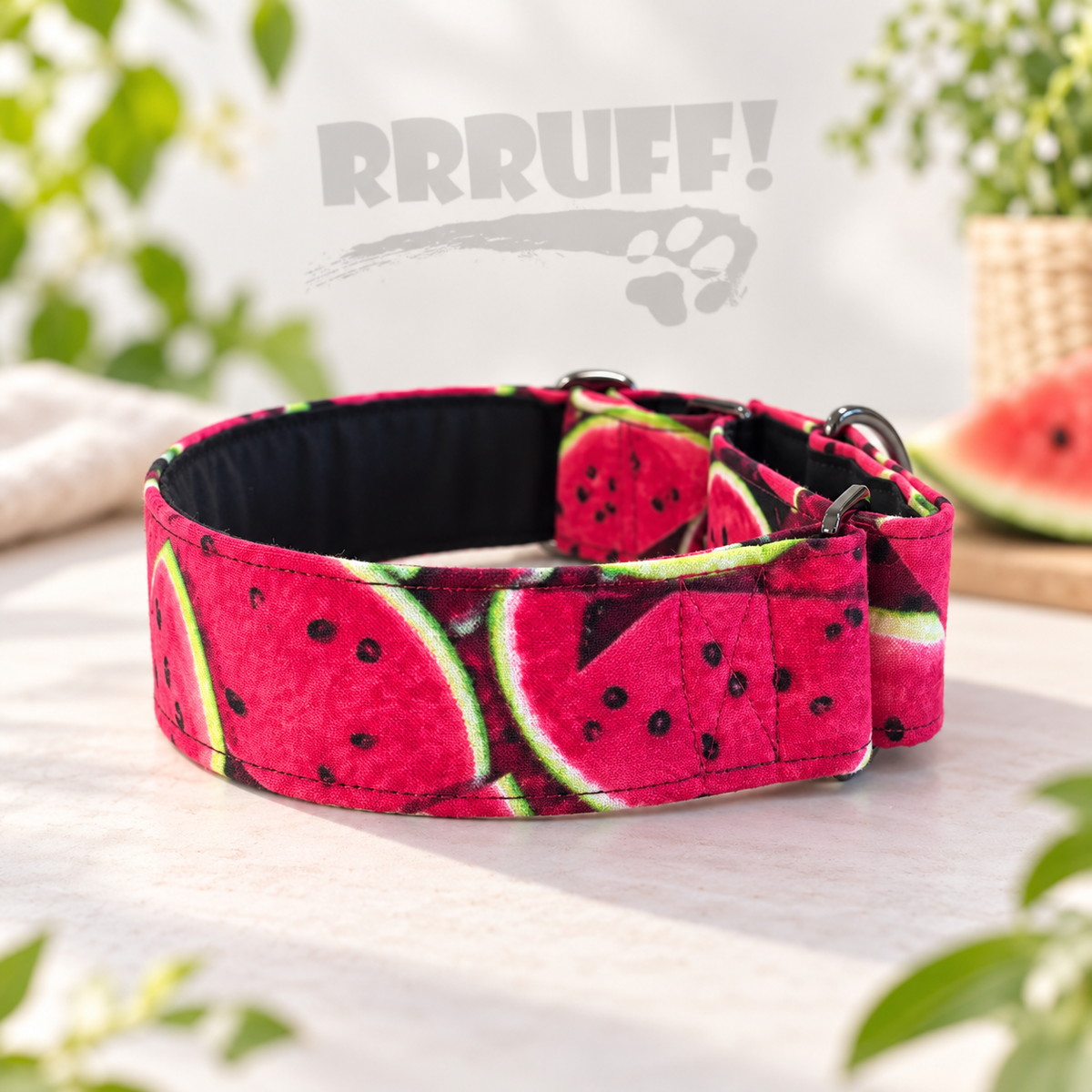One in a Melon greyhound martingale 38mm