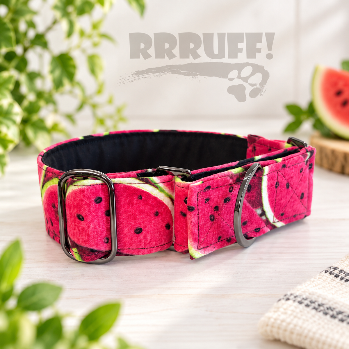 One in a Melon greyhound martingale 38mm