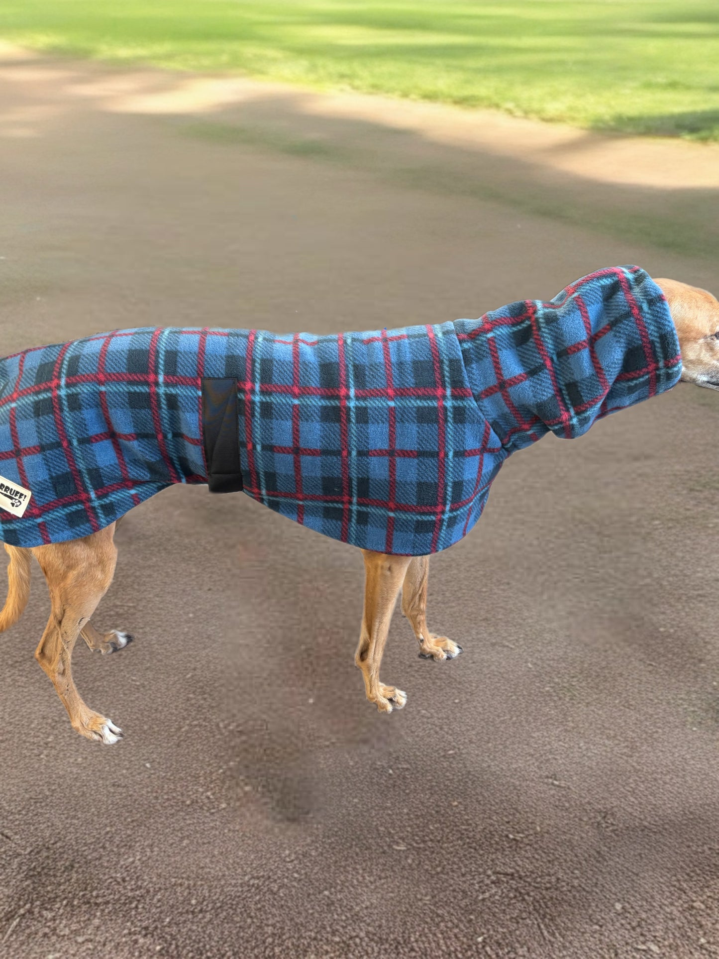 The navy blue Lumberjack Greyhound & whippet coat in deluxe style rug navy blue tartan check polar fleece lined with Sherpa washable extra wide neck