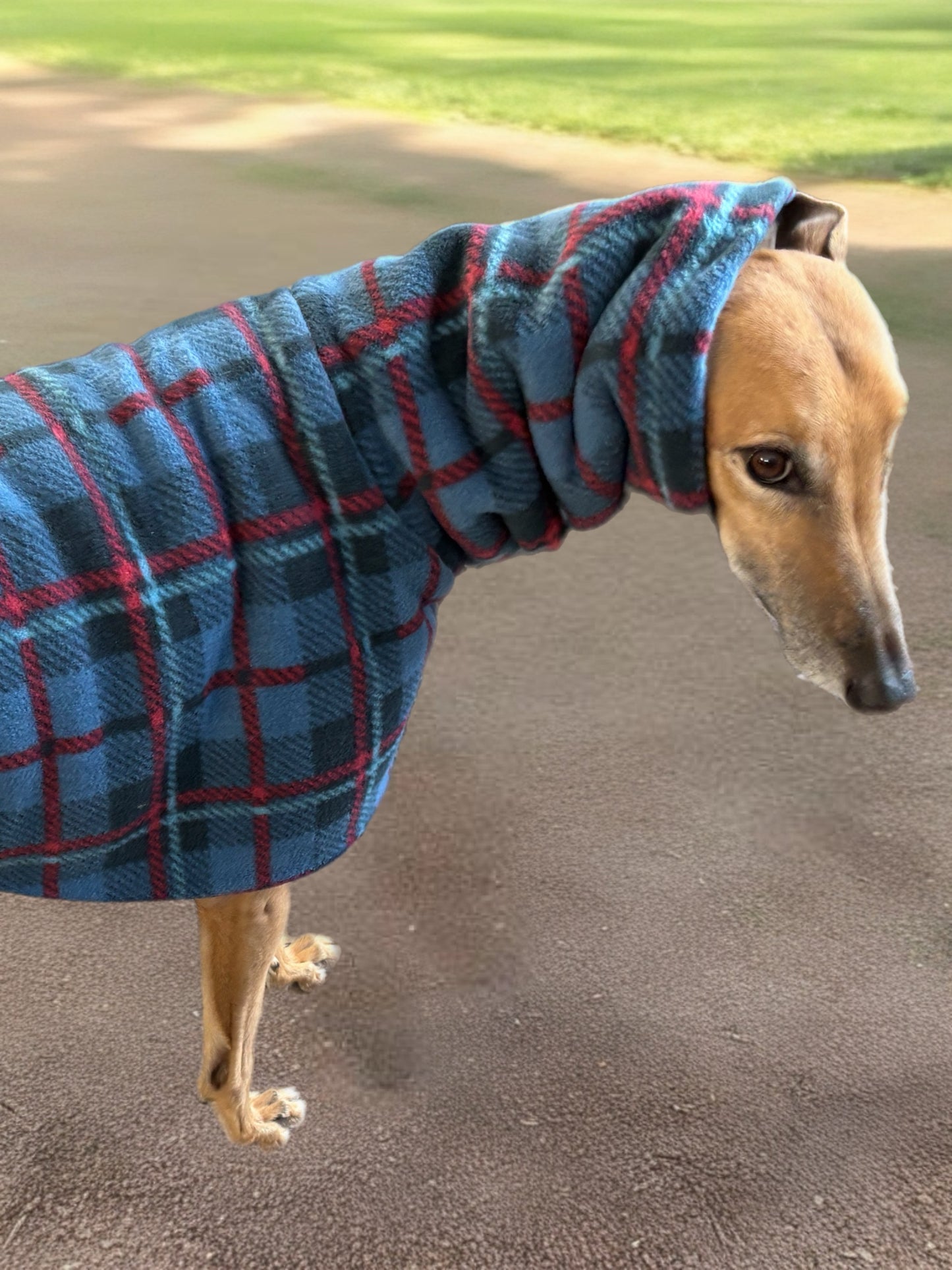 The navy blue Lumberjack Greyhound & whippet coat in deluxe style rug navy blue tartan check polar fleece lined with Sherpa washable extra wide neck