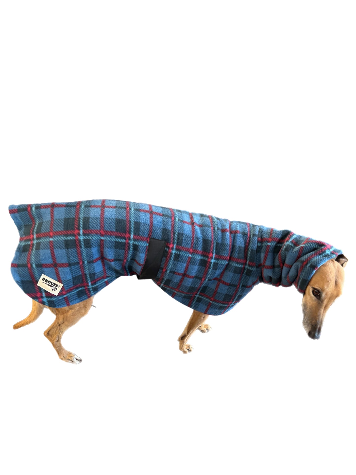 The navy blue Lumberjack Greyhound & whippet coat in deluxe style rug navy blue tartan check polar fleece lined with Sherpa washable extra wide neck