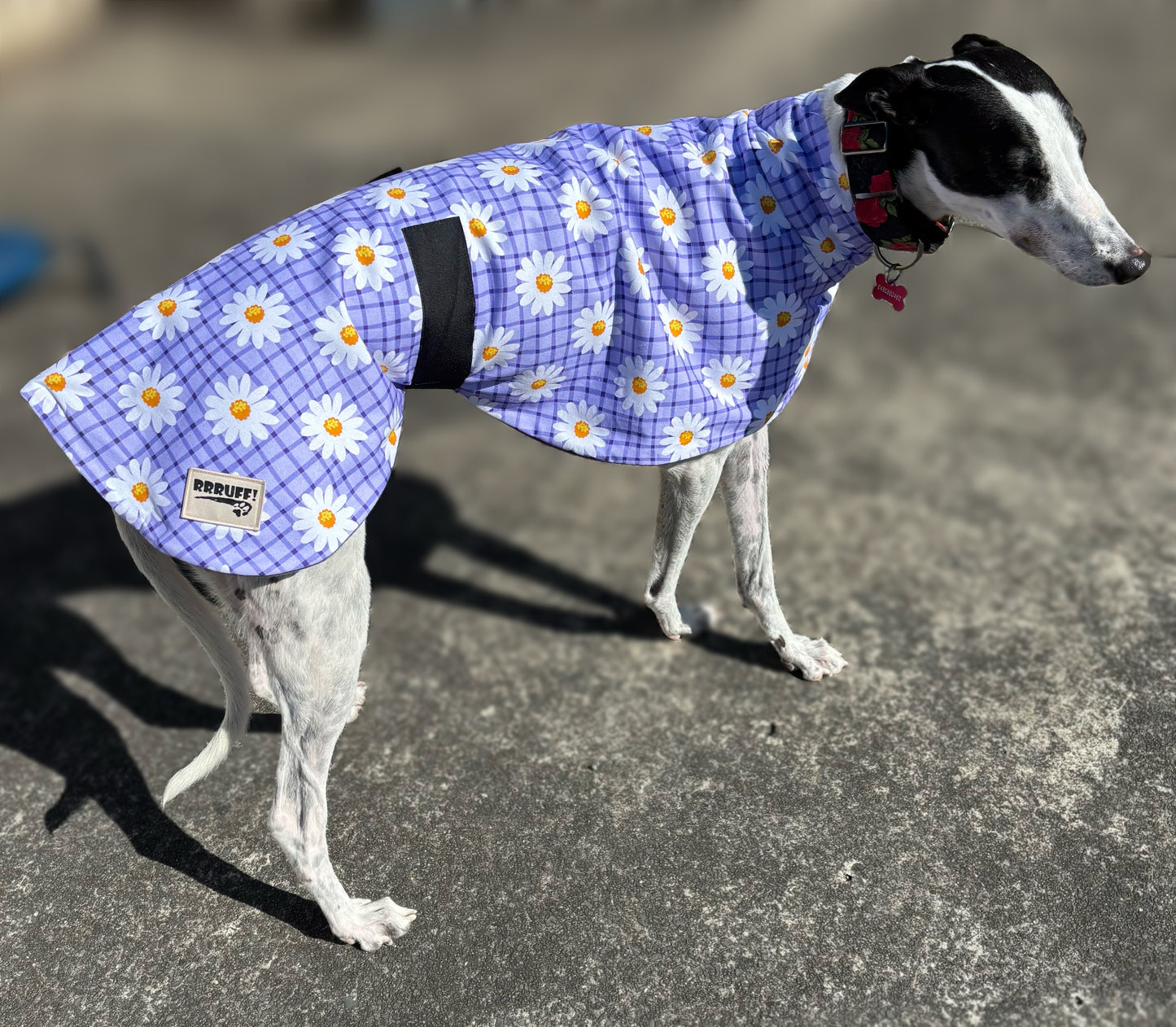 Our purple daisy cotton sports