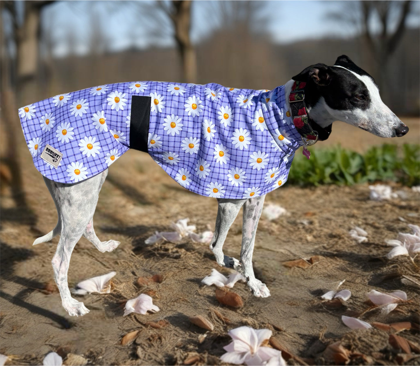 Our purple daisy cotton sports